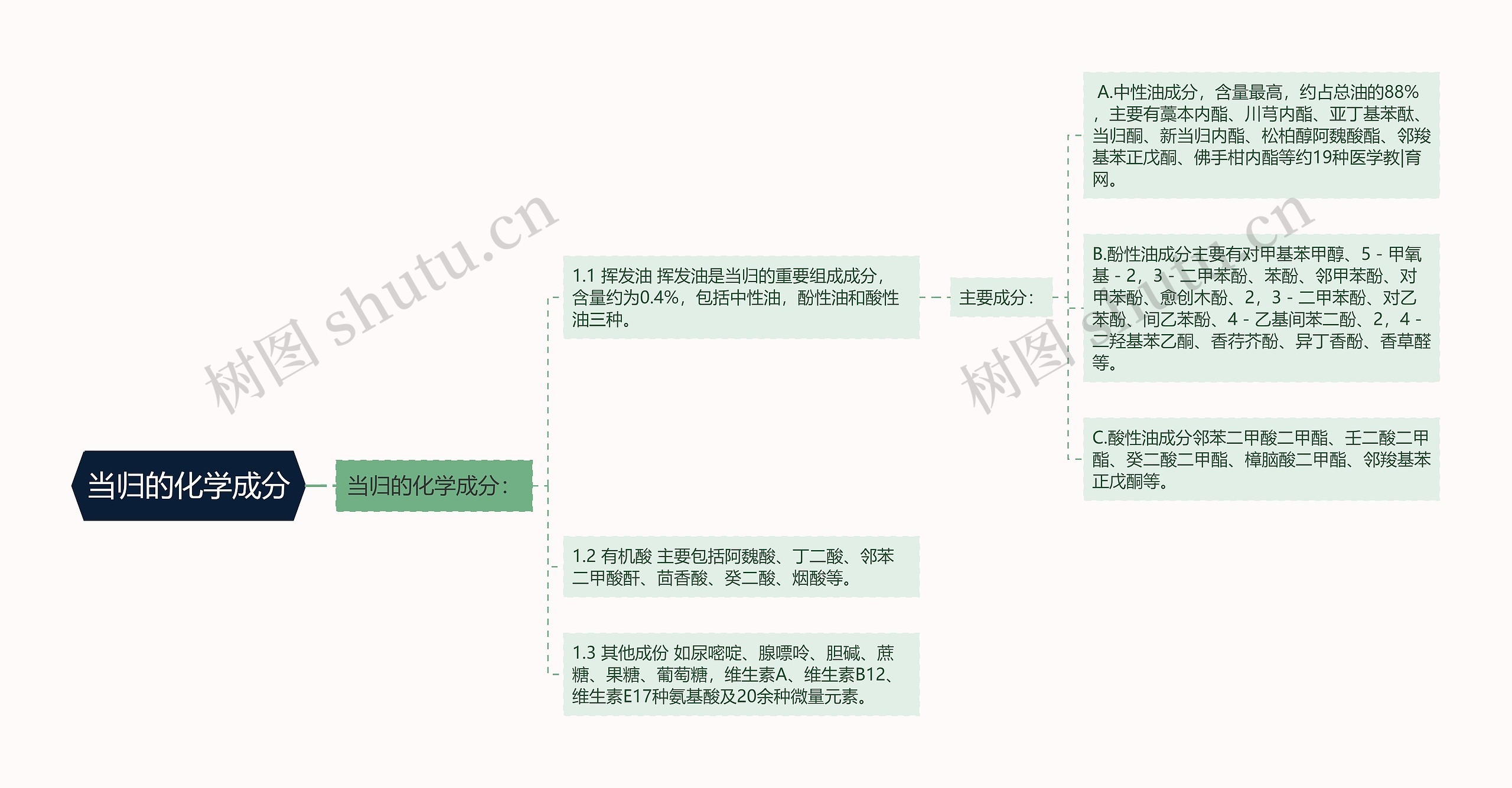 当归的化学成分思维导图