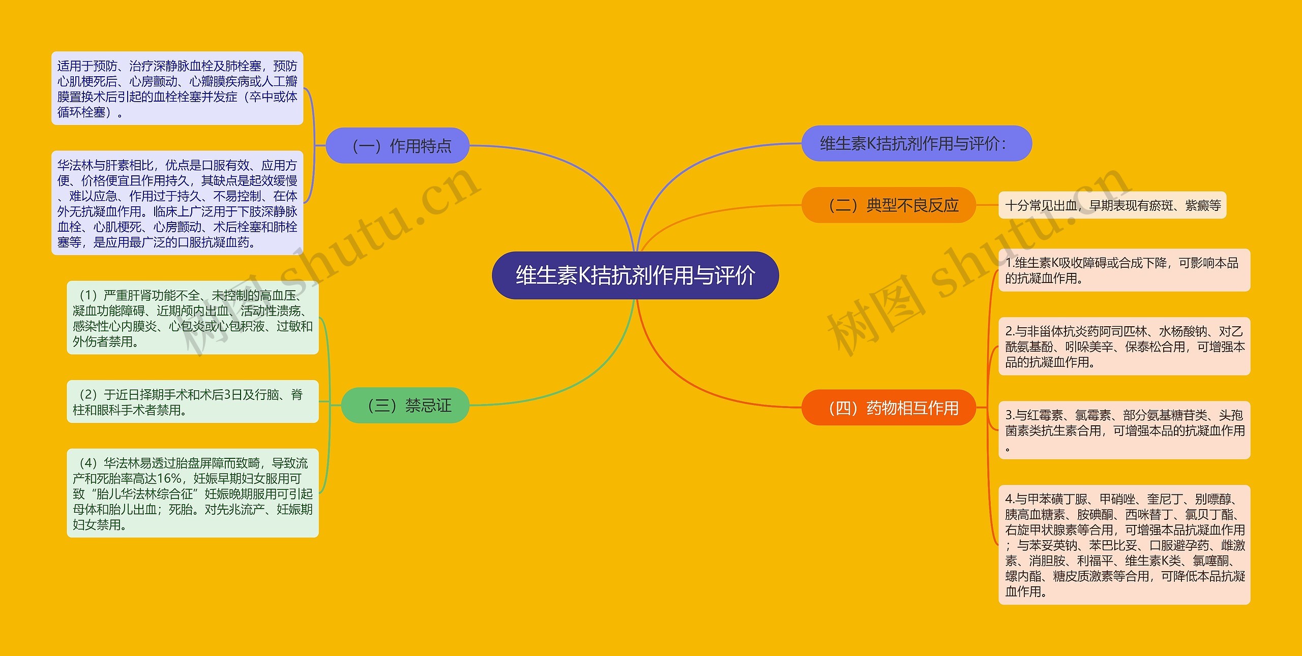 维生素K拮抗剂作用与评价思维导图