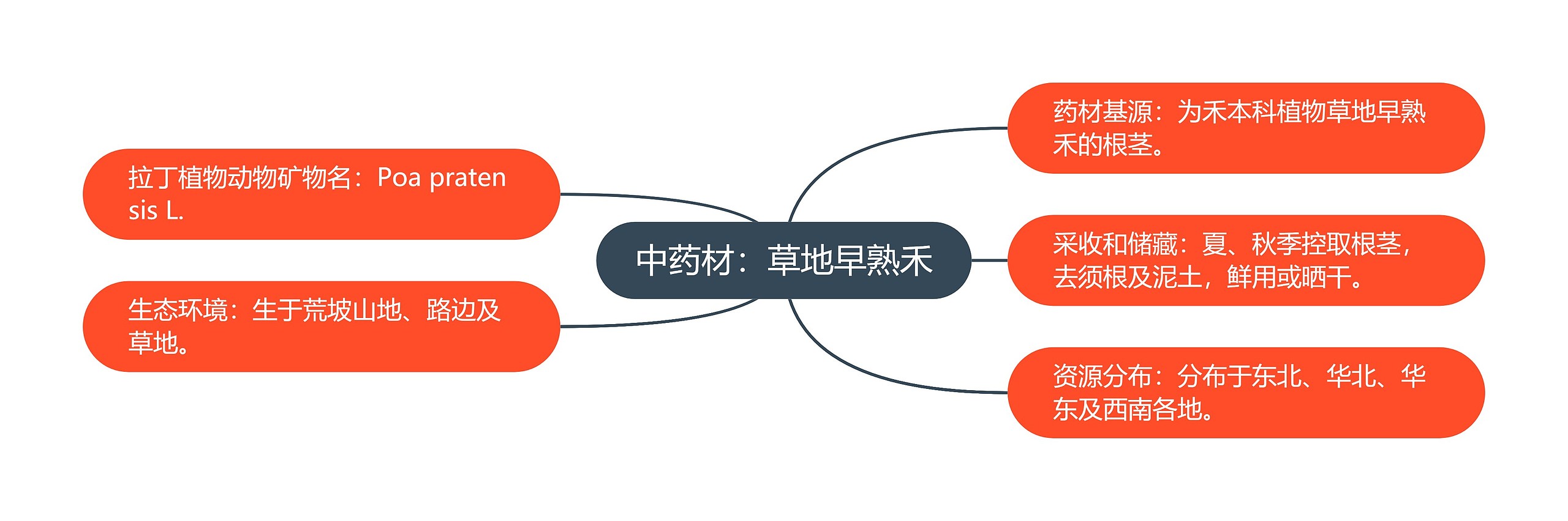 中药材：草地早熟禾