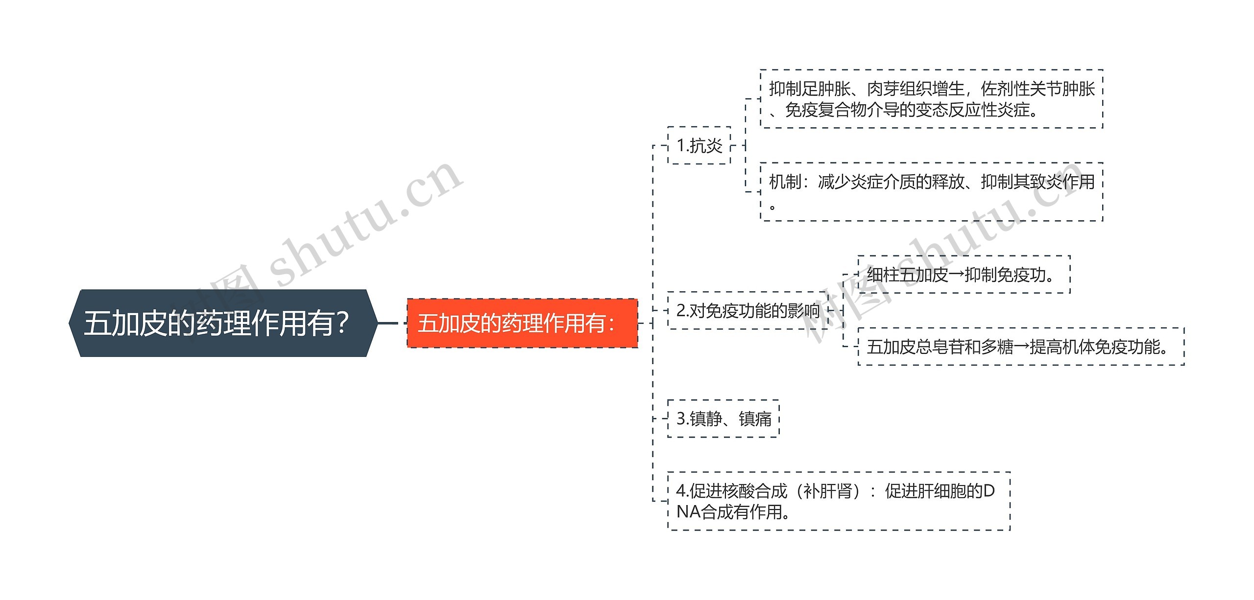 五加皮的药理作用有？