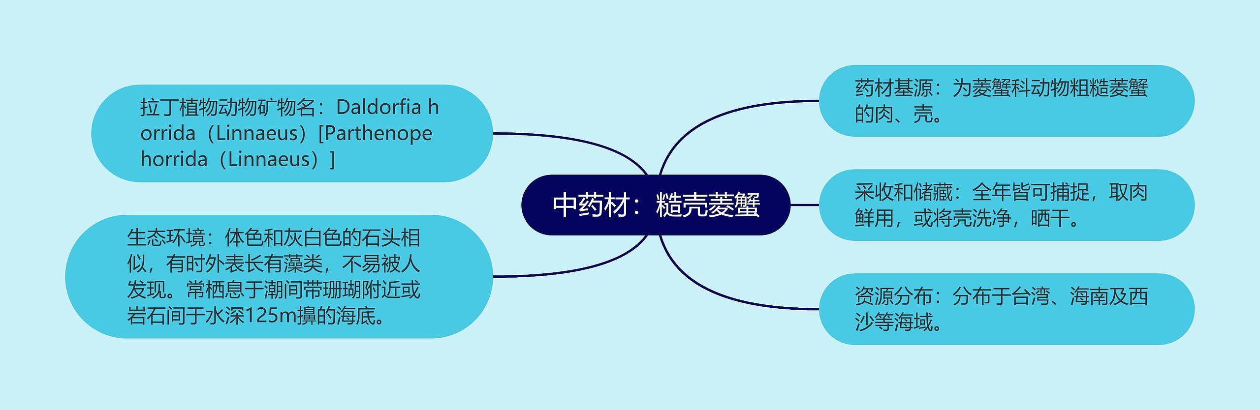 中药材：糙壳菱蟹思维导图