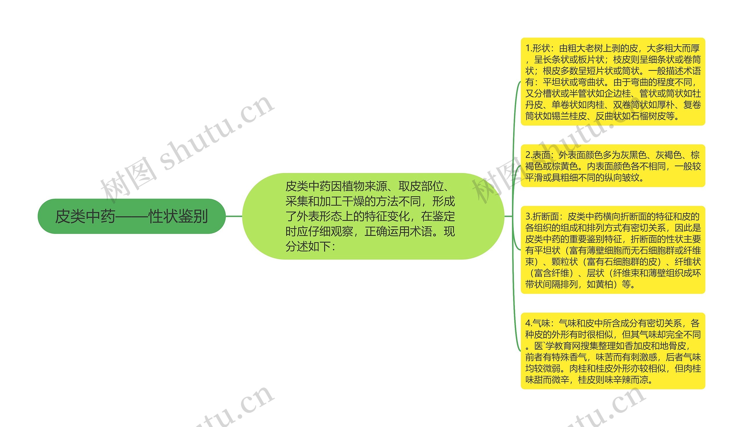 皮类中药——性状鉴别思维导图