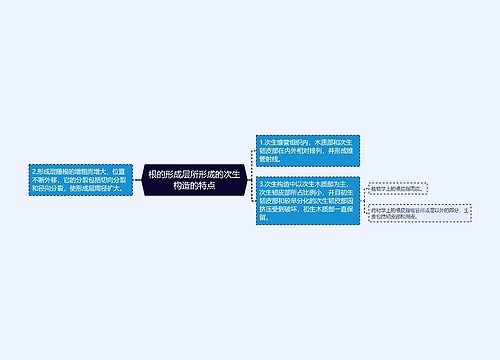 根的形成层所形成的次生构造的特点