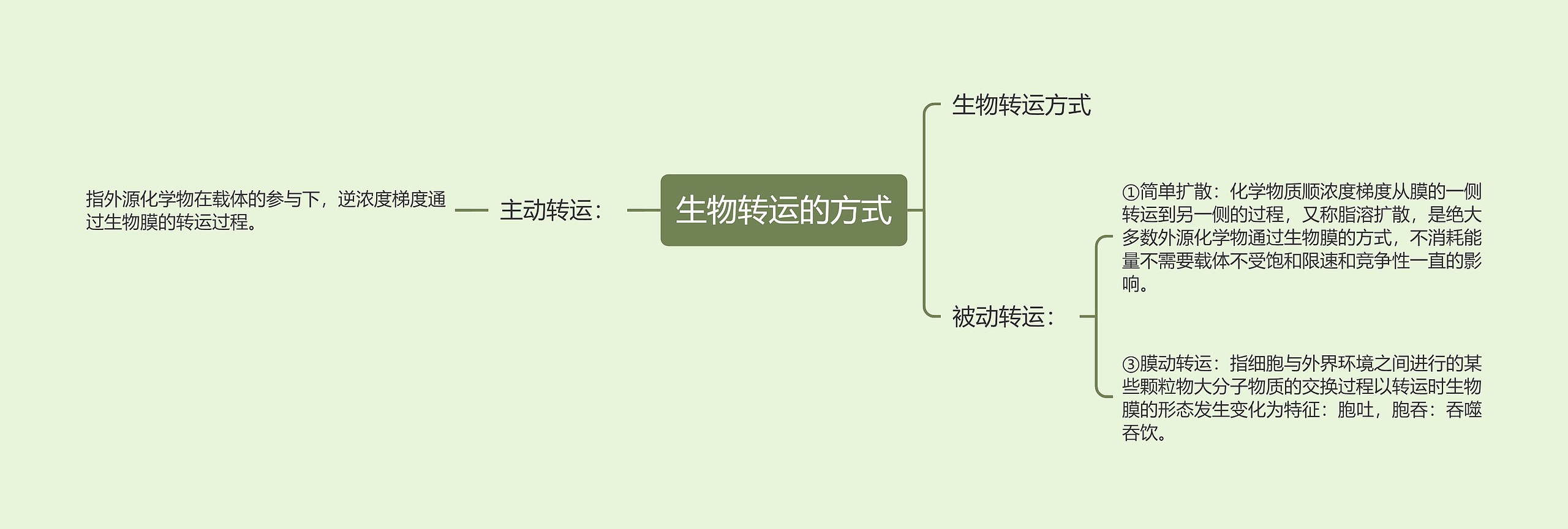 生物转运的方式思维导图