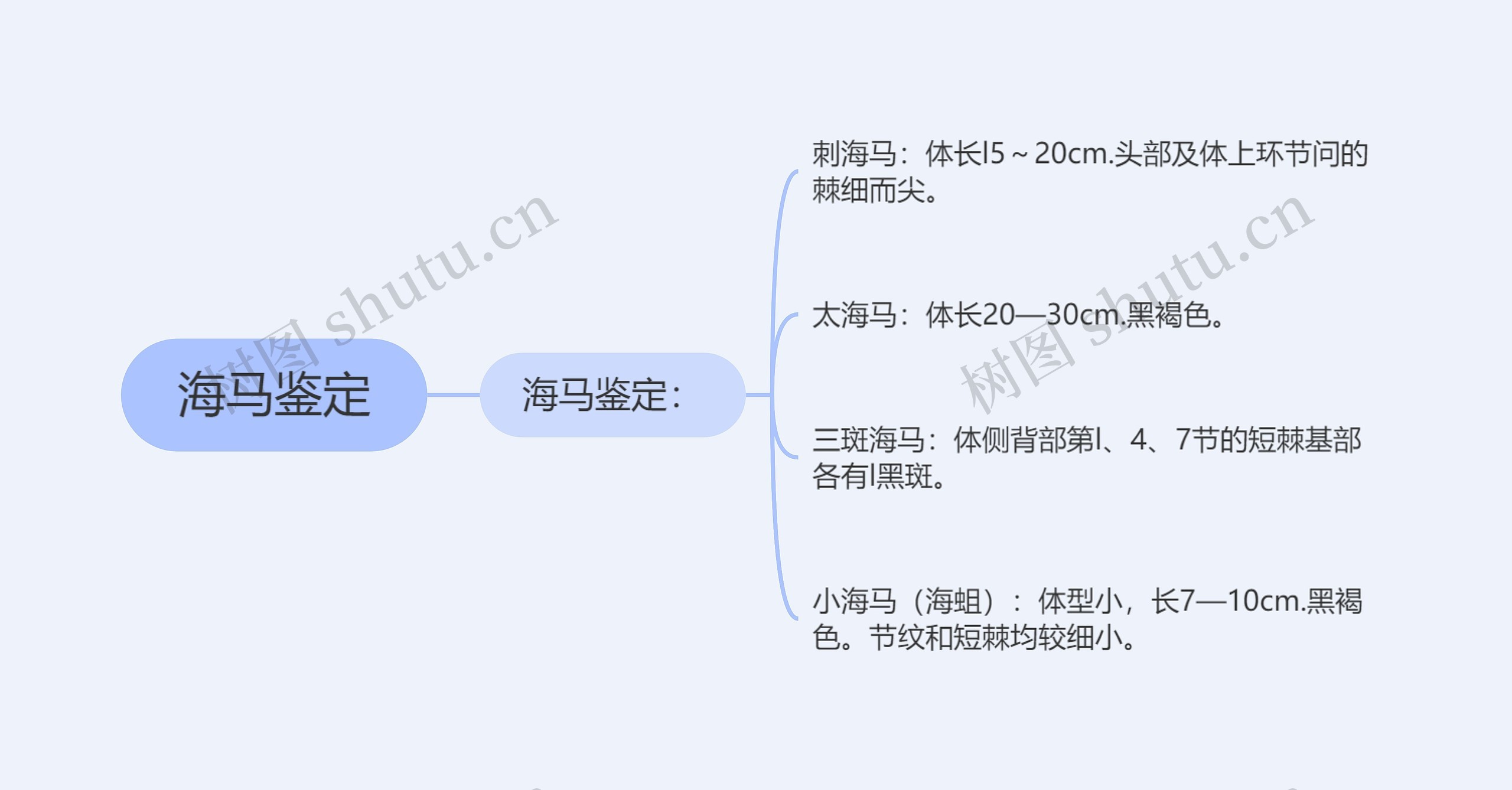 海马鉴定思维导图