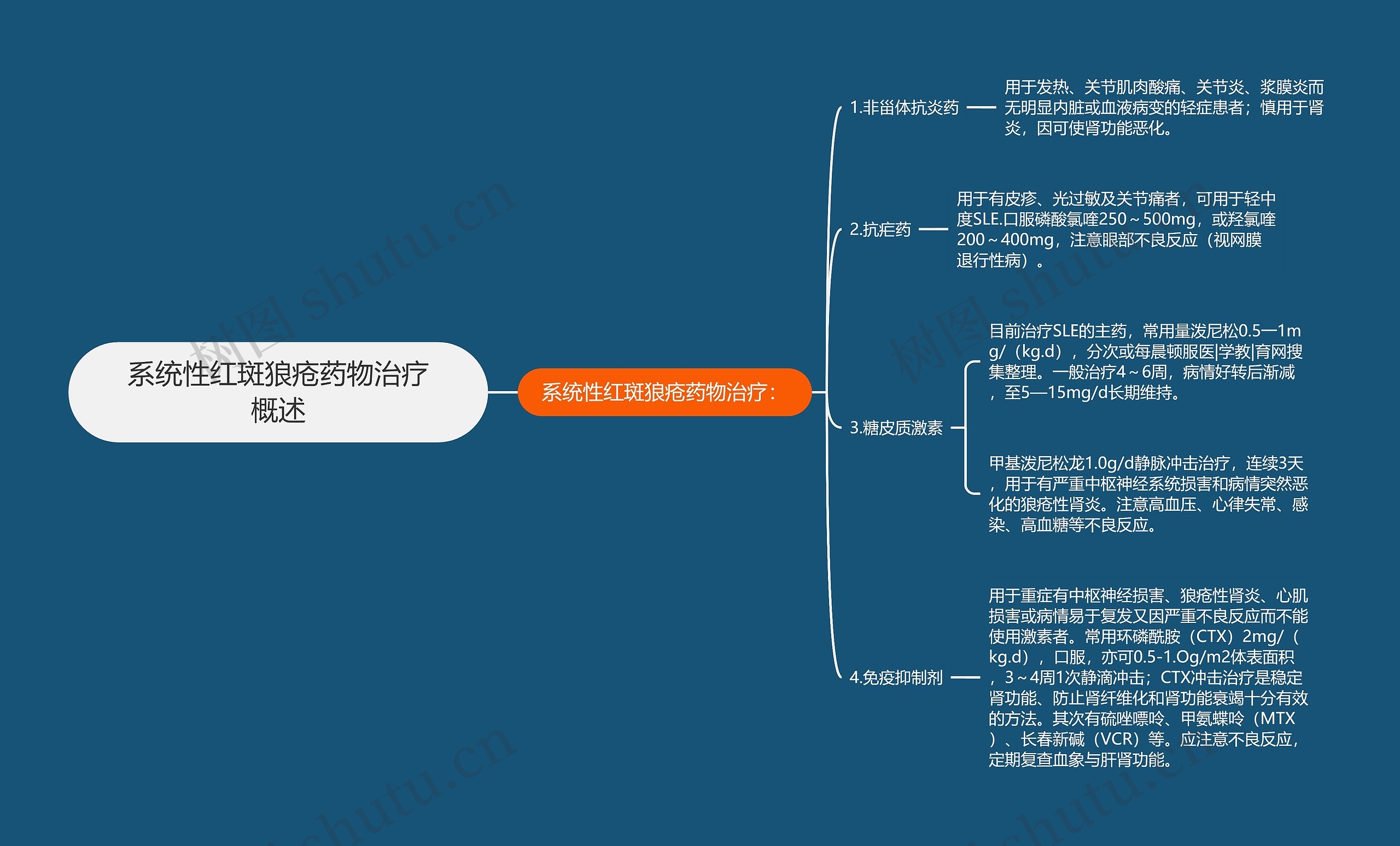 系统性红斑狼疮药物治疗概述