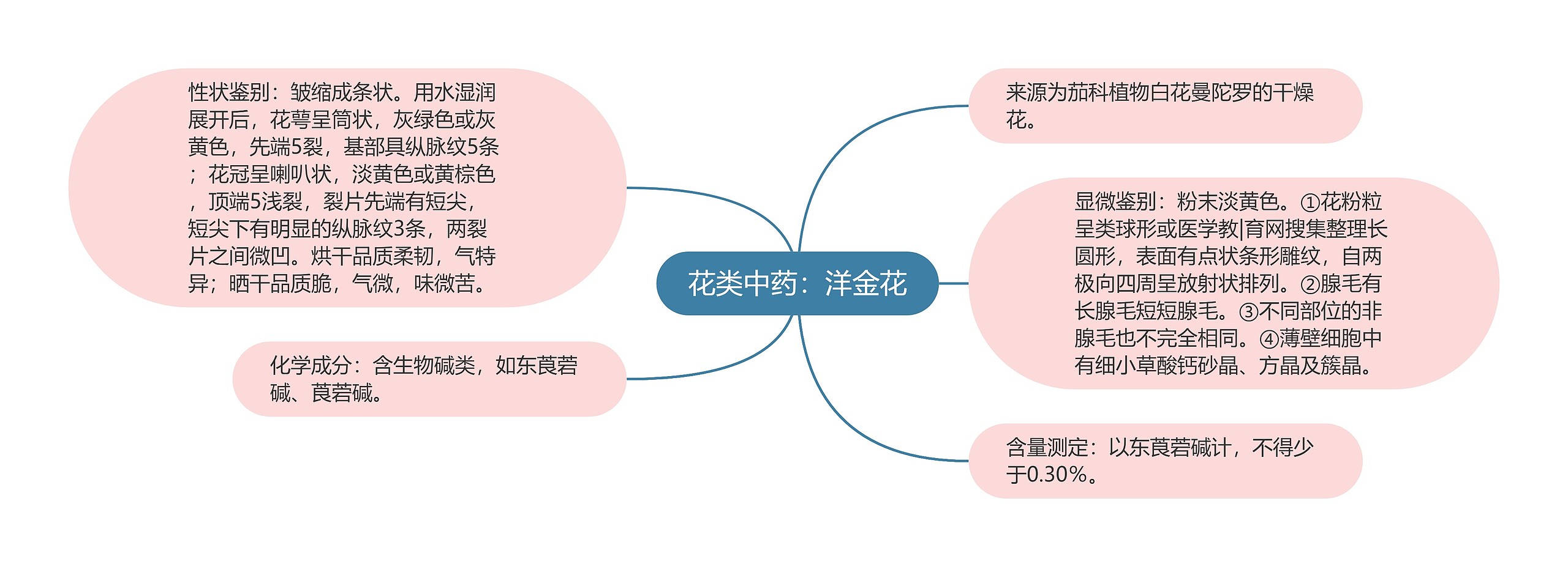 花类中药:洋金花 花类中药:洋金花