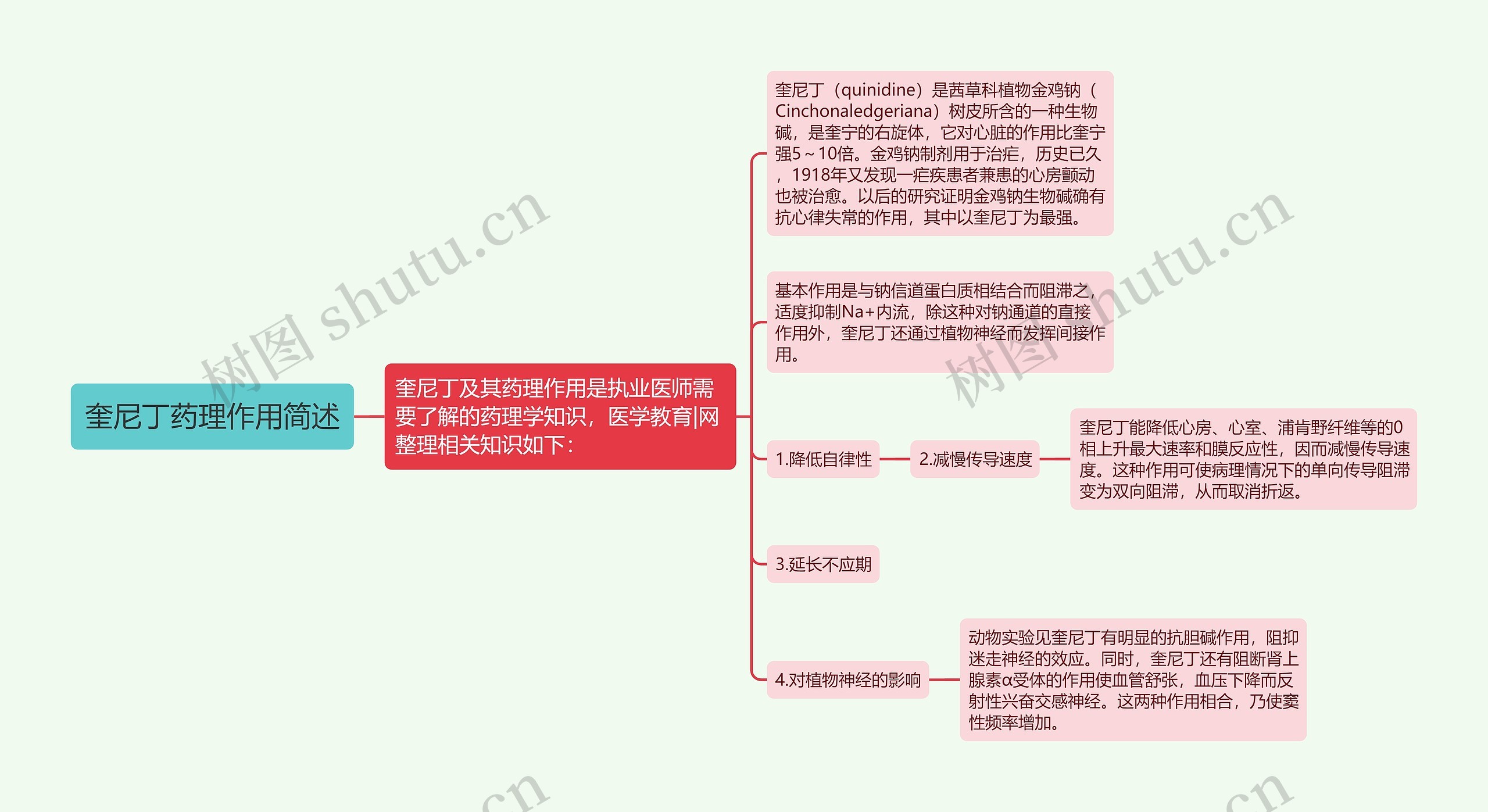 奎尼丁药理作用简述思维导图