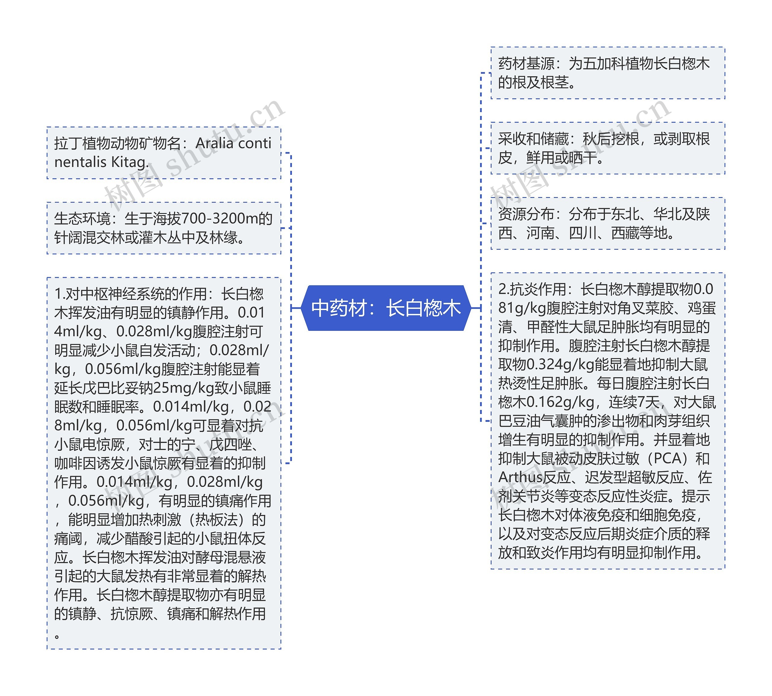 中药材：长白楤木思维导图