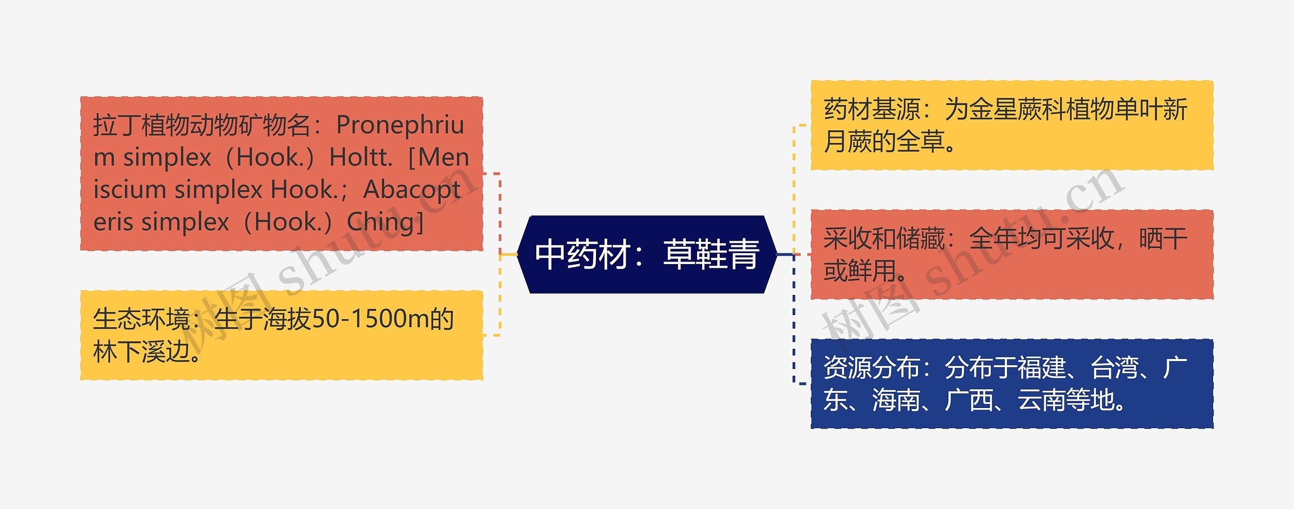 中药材：草鞋青