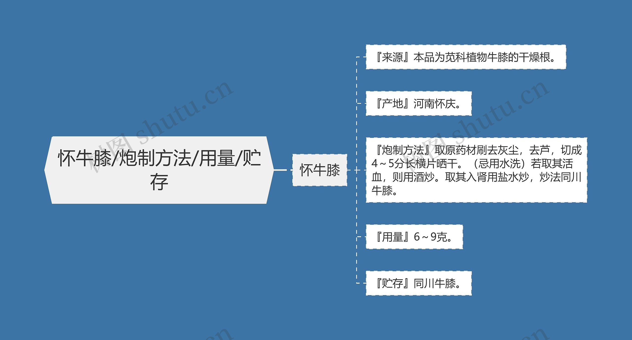 怀牛膝/炮制方法/用量/贮存