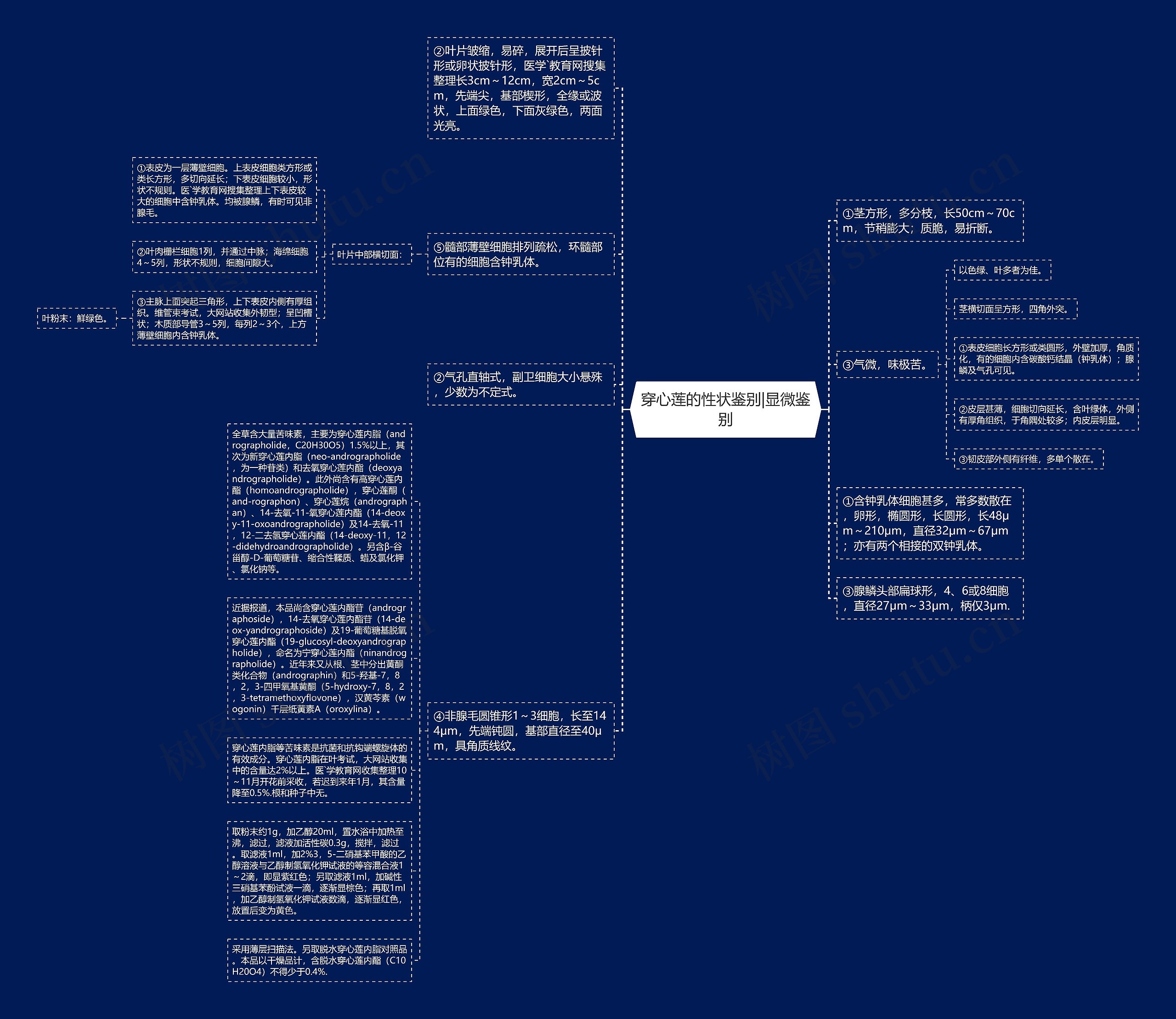 穿心莲的性状鉴别|显微鉴别思维导图