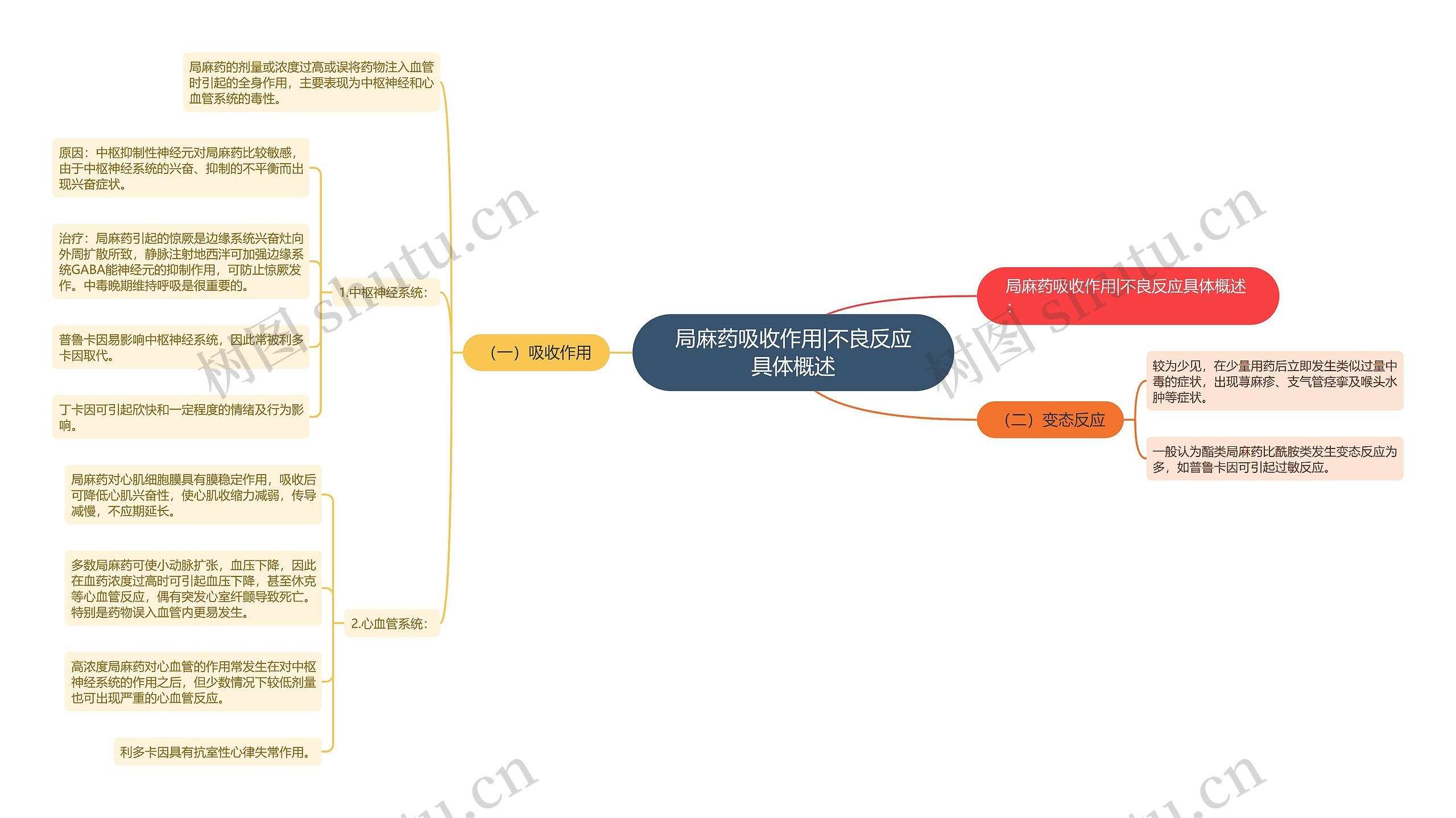 局麻药吸收作用|不良反应具体概述思维导图