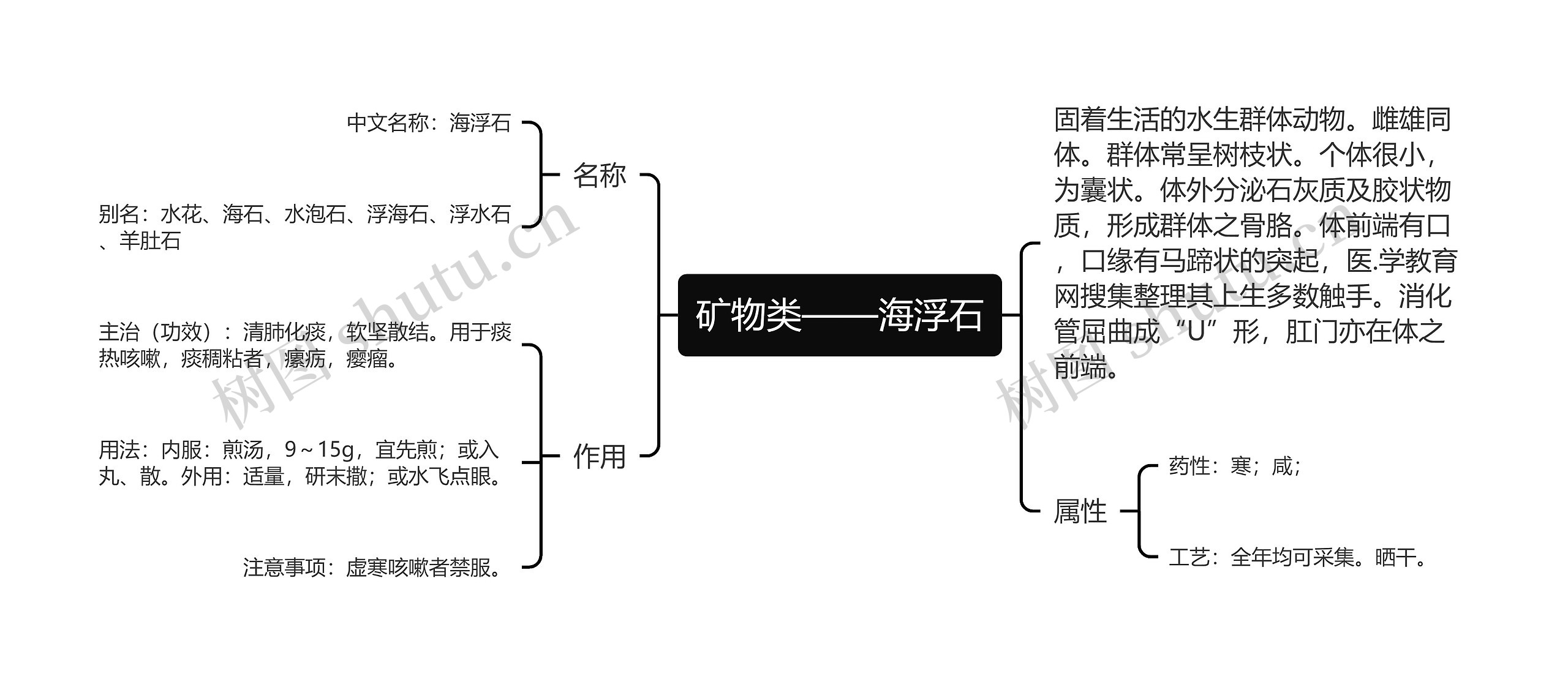 矿物类——海浮石