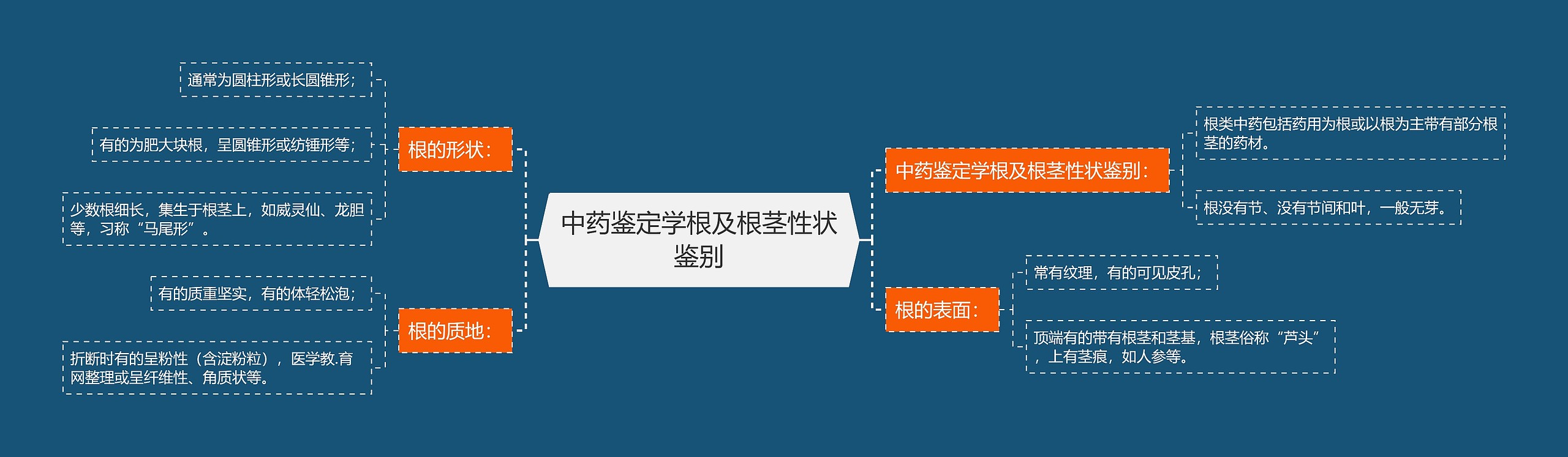 中药鉴定学根及根茎性状鉴别思维导图