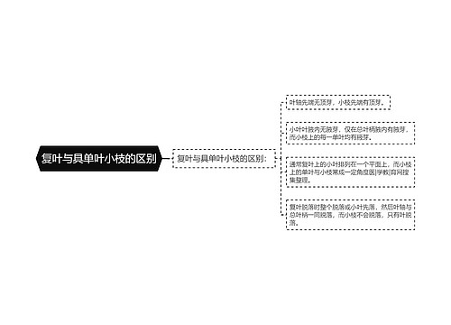 复叶与具单叶小枝的区别