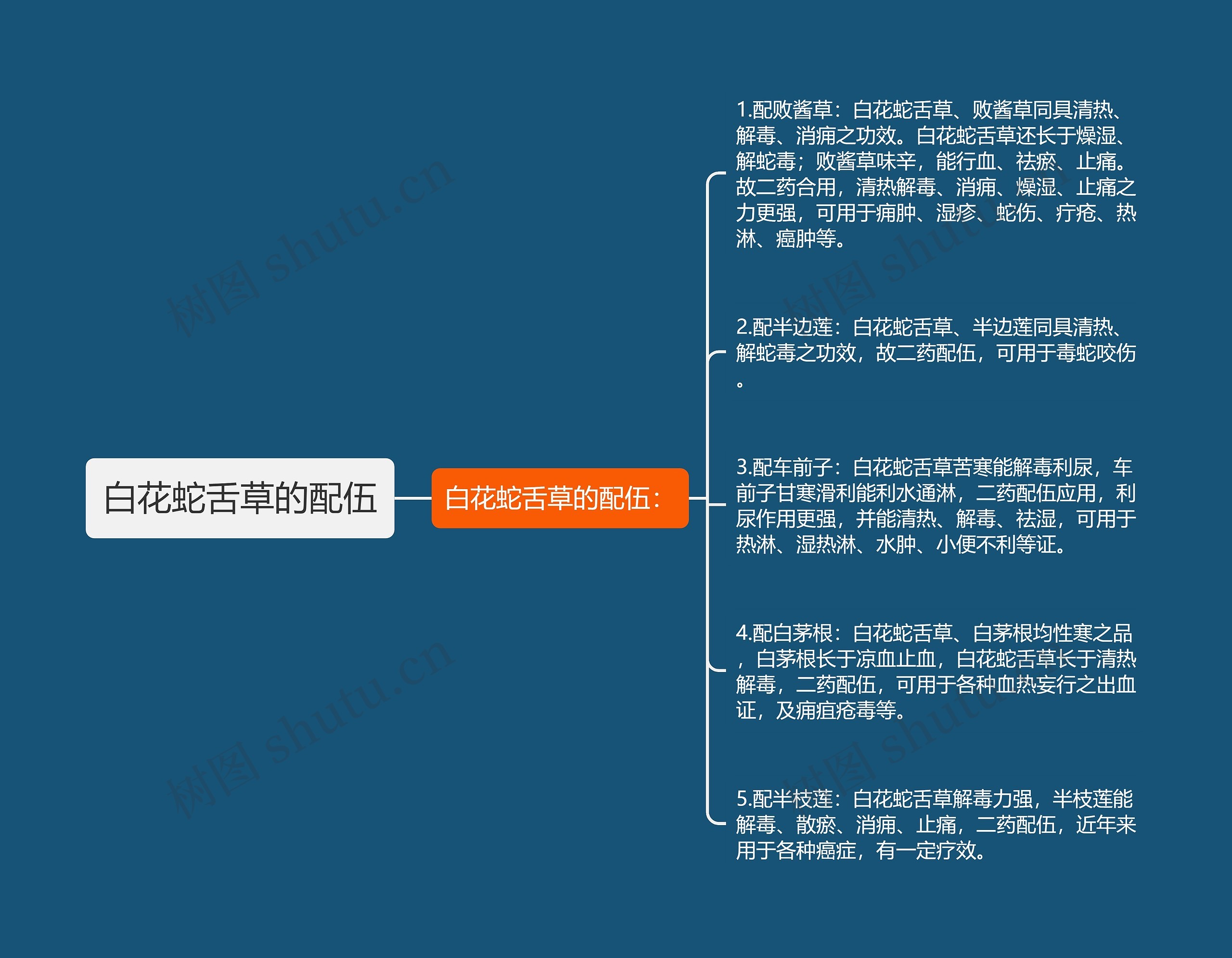 白花蛇舌草的配伍 白花蛇舌草的配伍