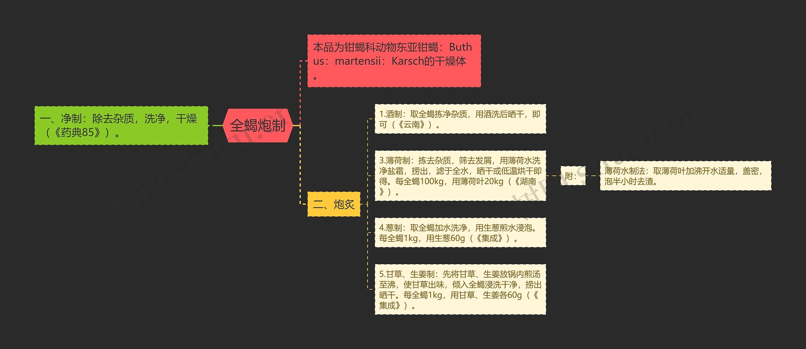 全蝎炮制思维导图