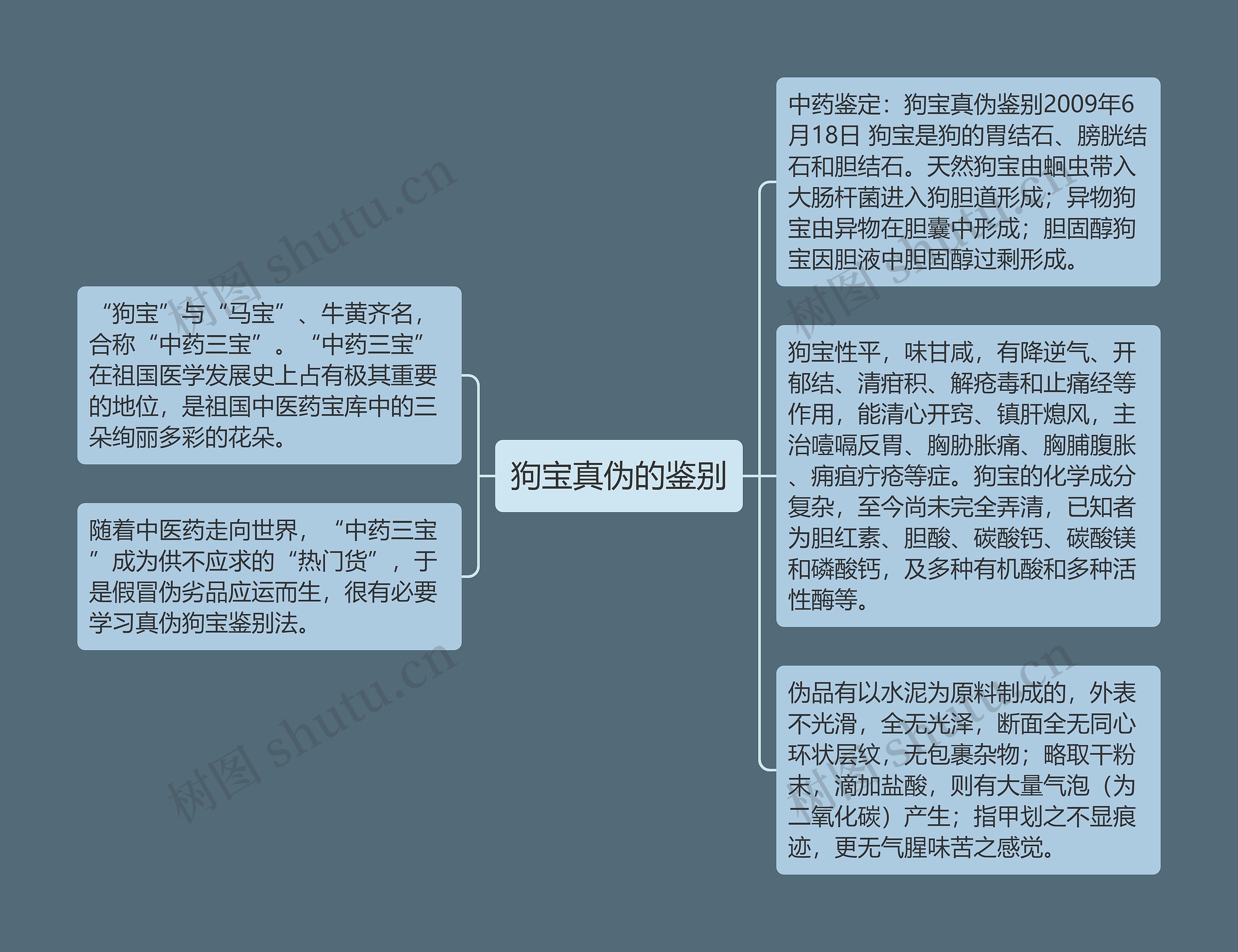 狗宝真伪的鉴别思维导图