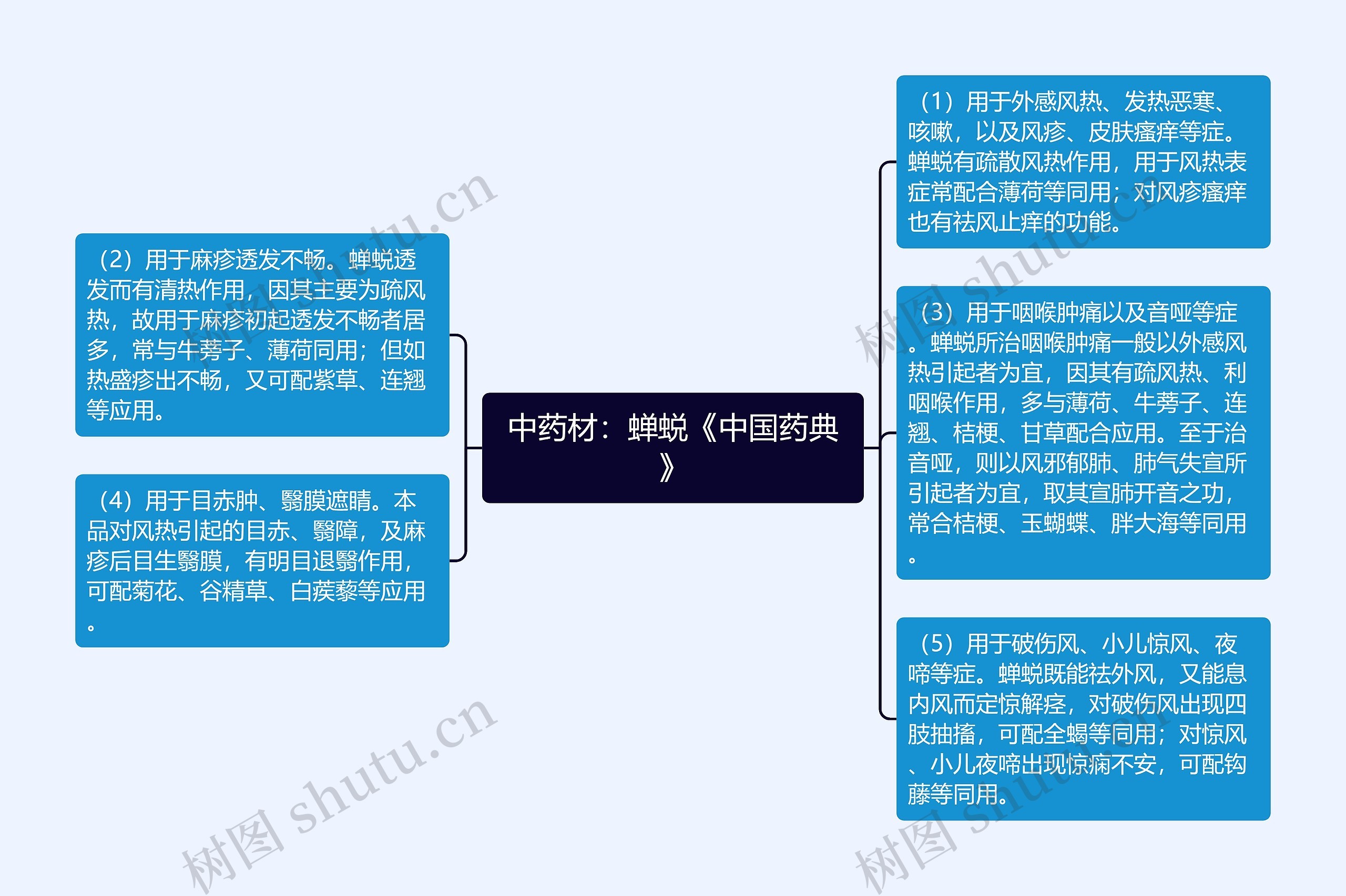 中药材：蝉蜕《中国药典》思维导图