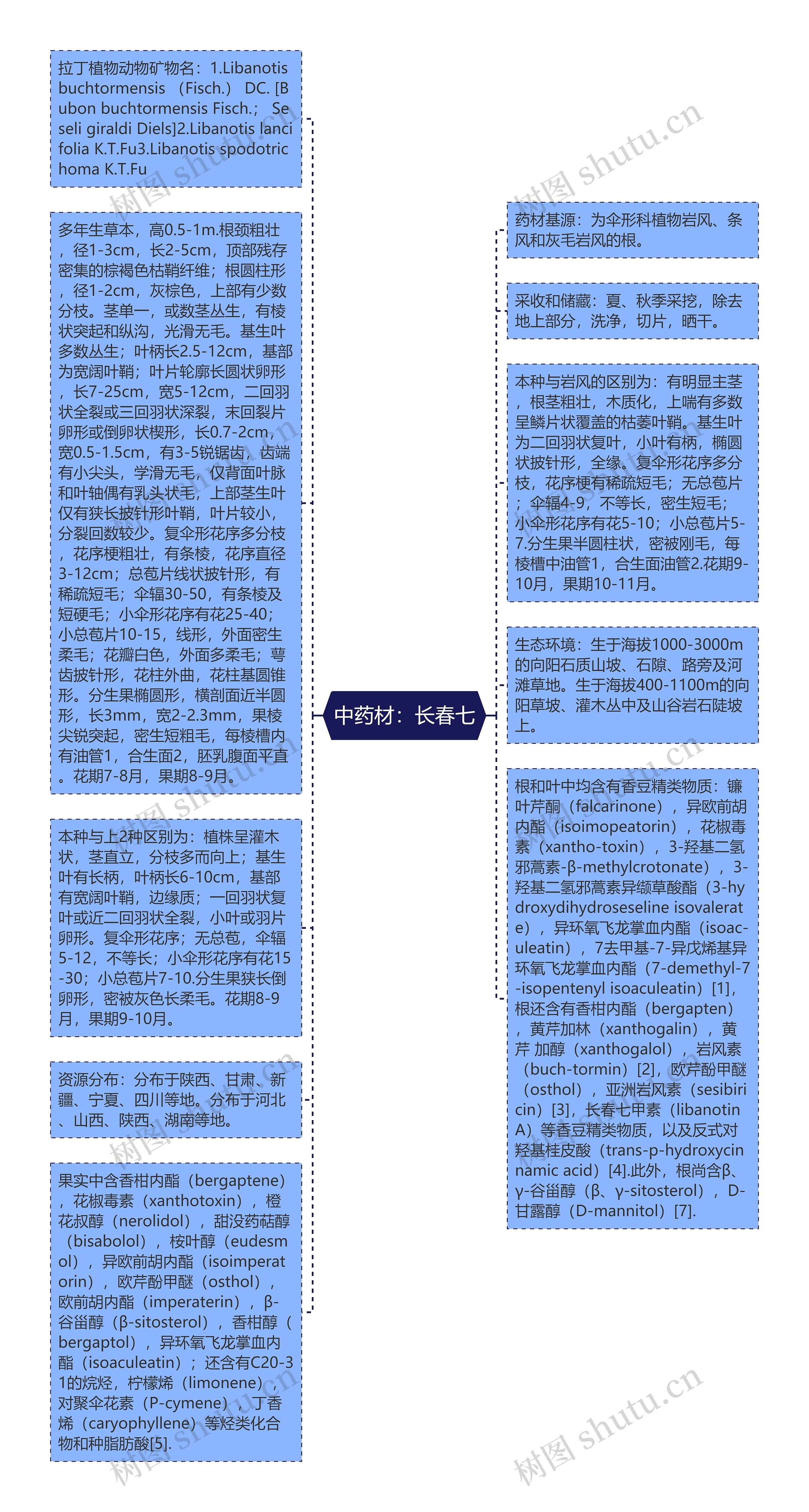 中药材：长春七