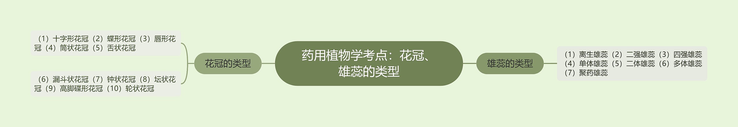 药用植物学考点：花冠、雄蕊的类型思维导图