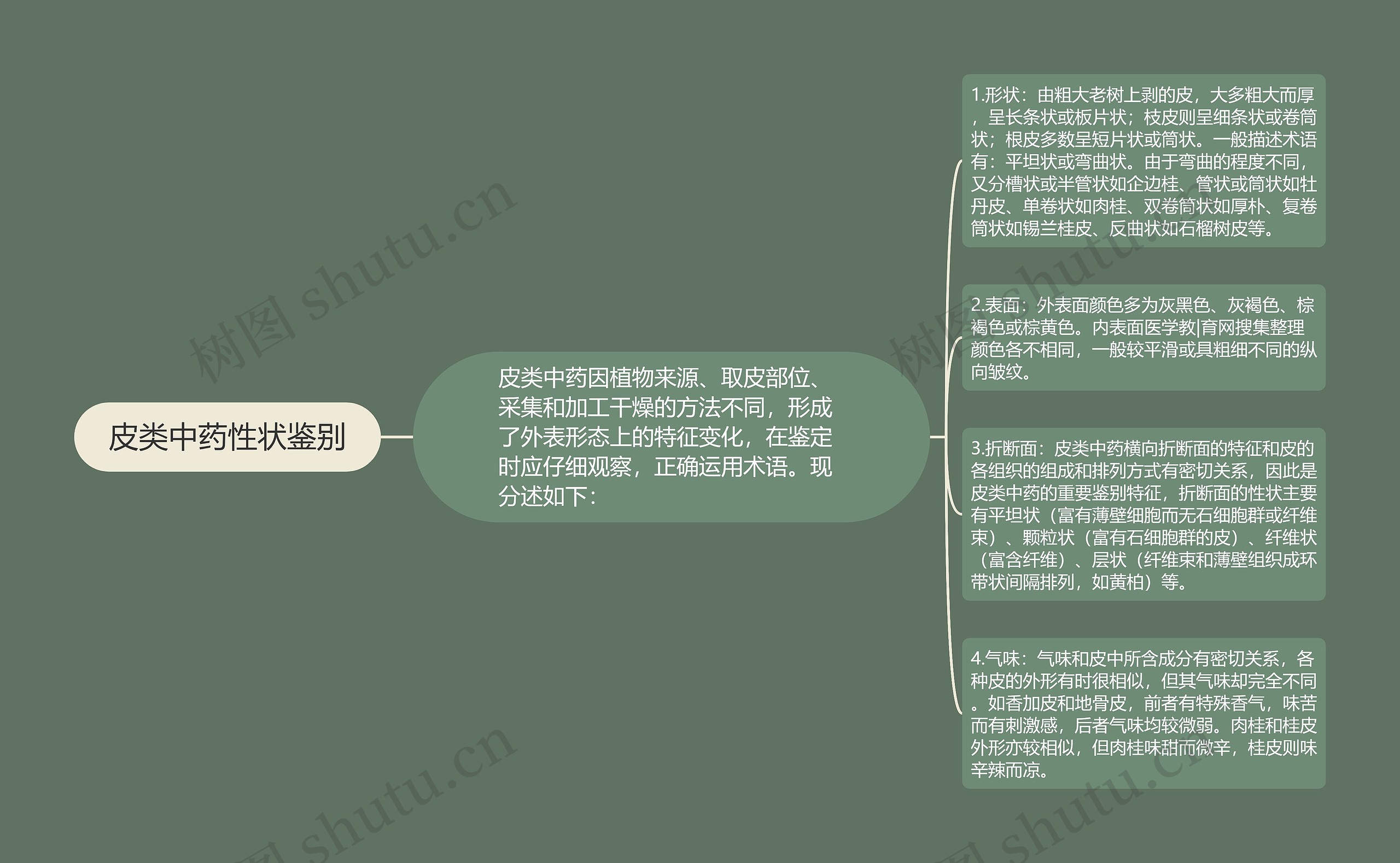 皮类中药性状鉴别