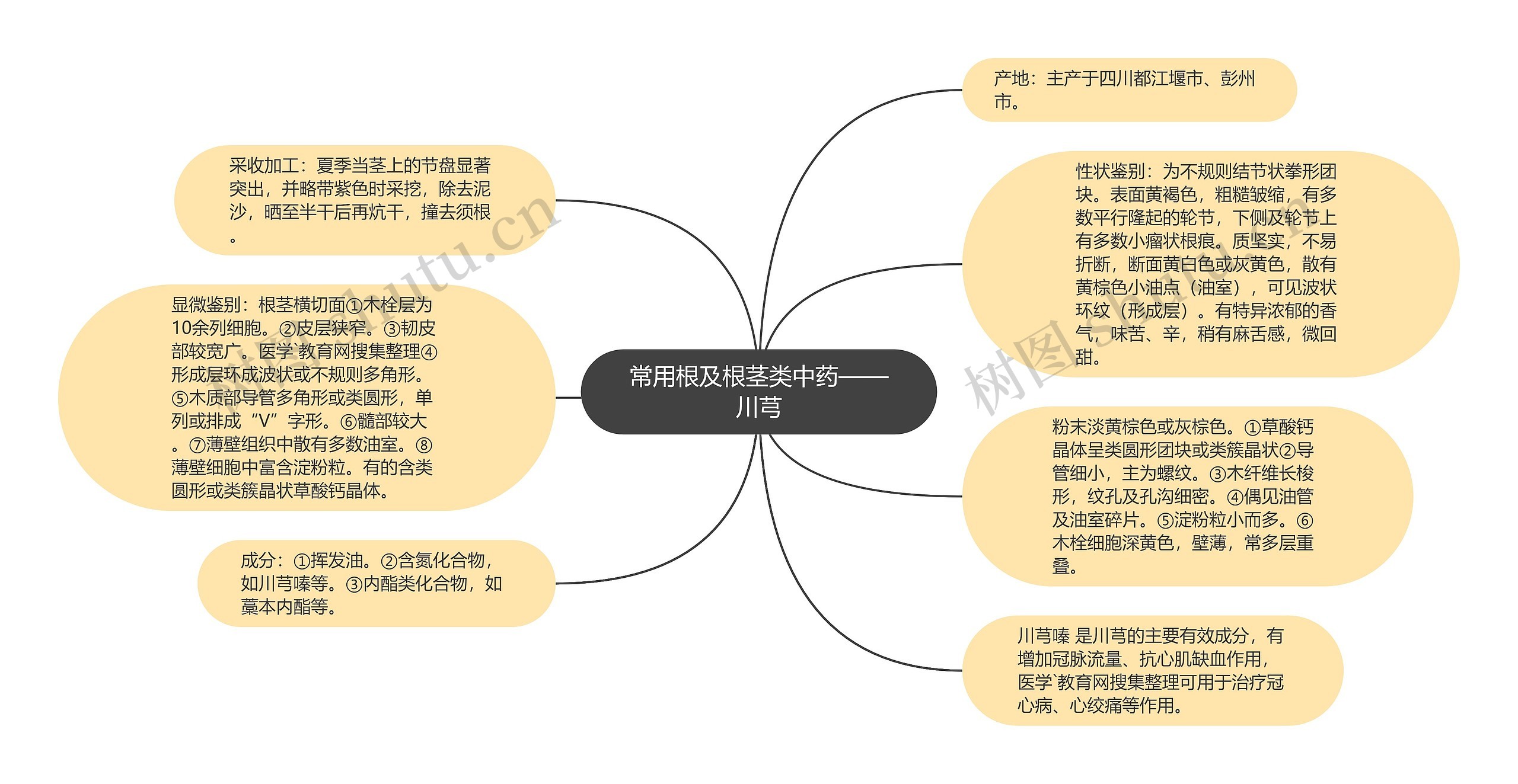 常用根及根茎类中药——川芎思维导图