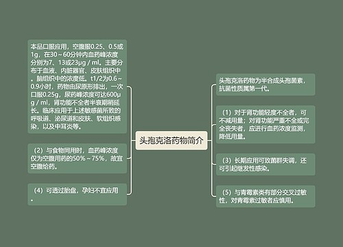 头孢克洛药物简介