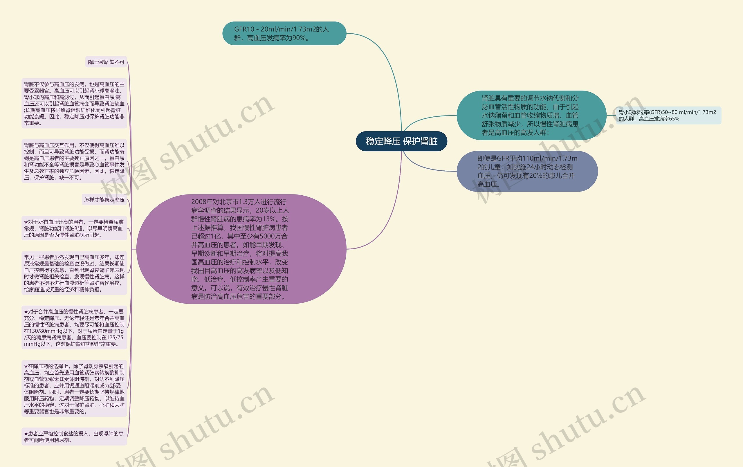 稳定降压 保护肾脏思维导图