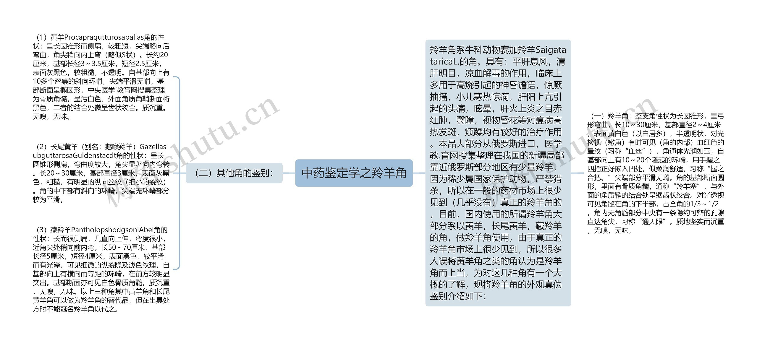 中药鉴定学之羚羊角思维导图