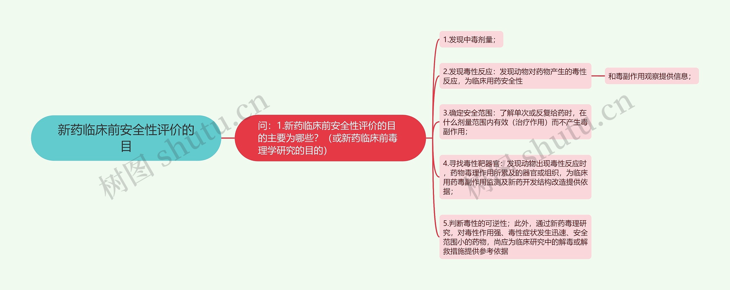 新药临床前安全性评价的目思维导图