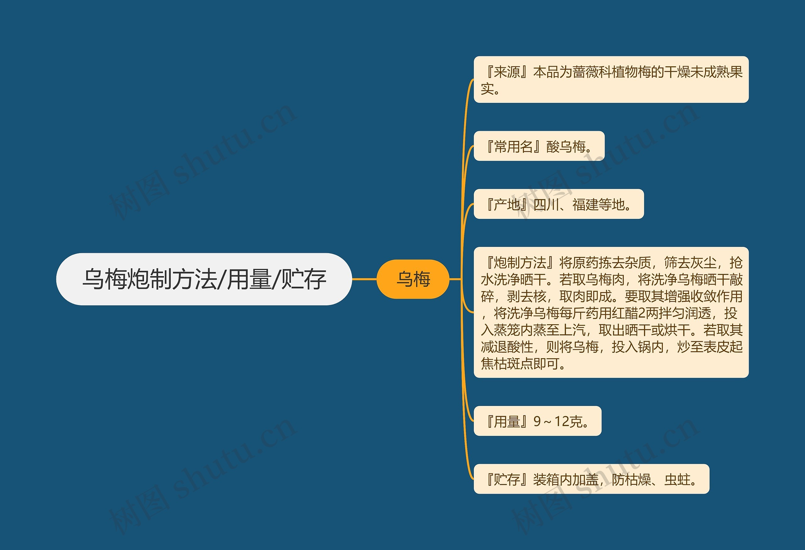 乌梅炮制方法/用量/贮存思维导图