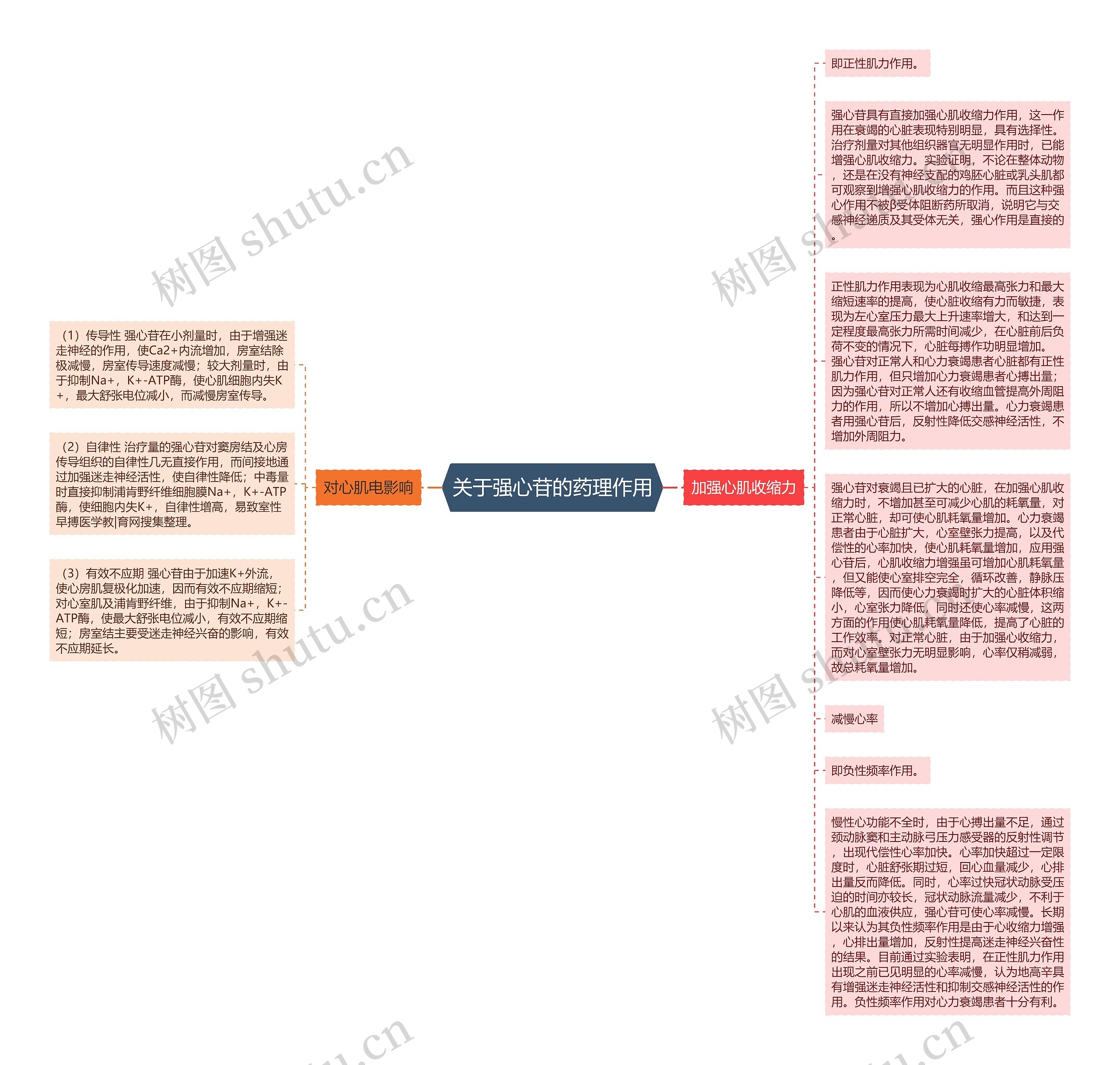 关于强心苷的药理作用思维导图