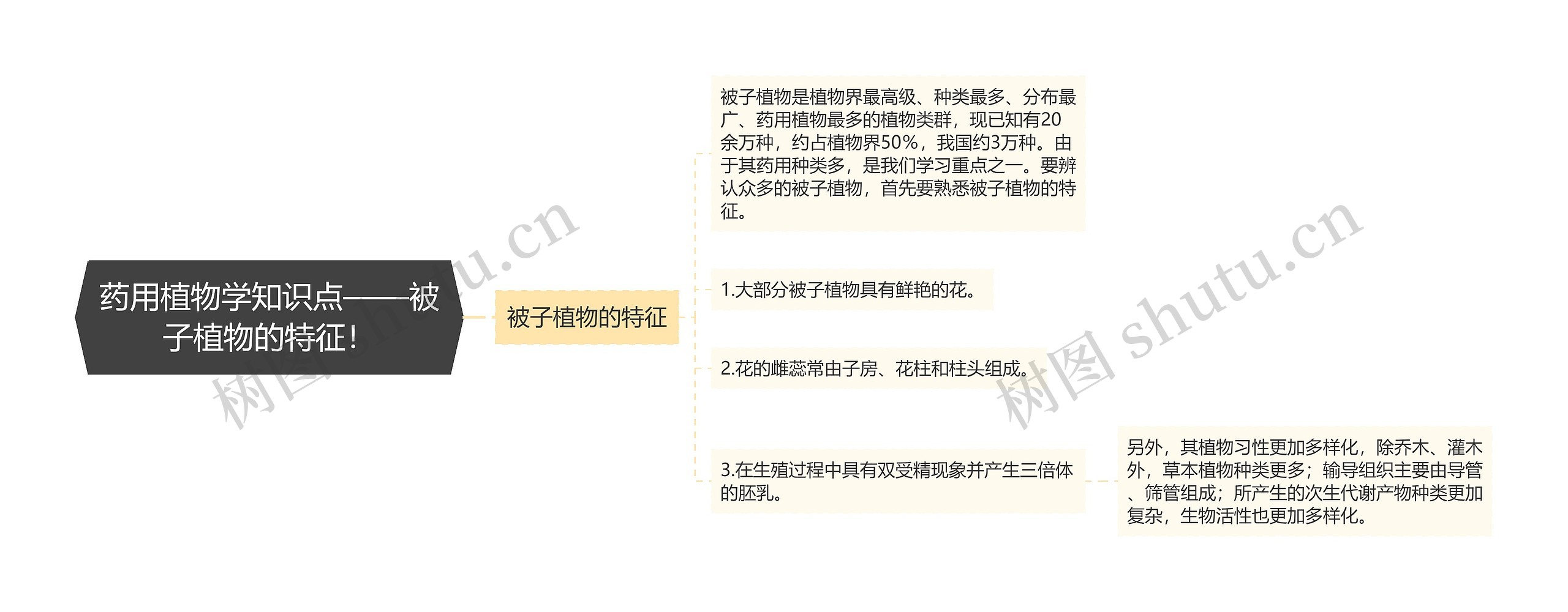 药用植物学知识点——被子植物的特征! 药用植物学知识点——被子植物的特征!