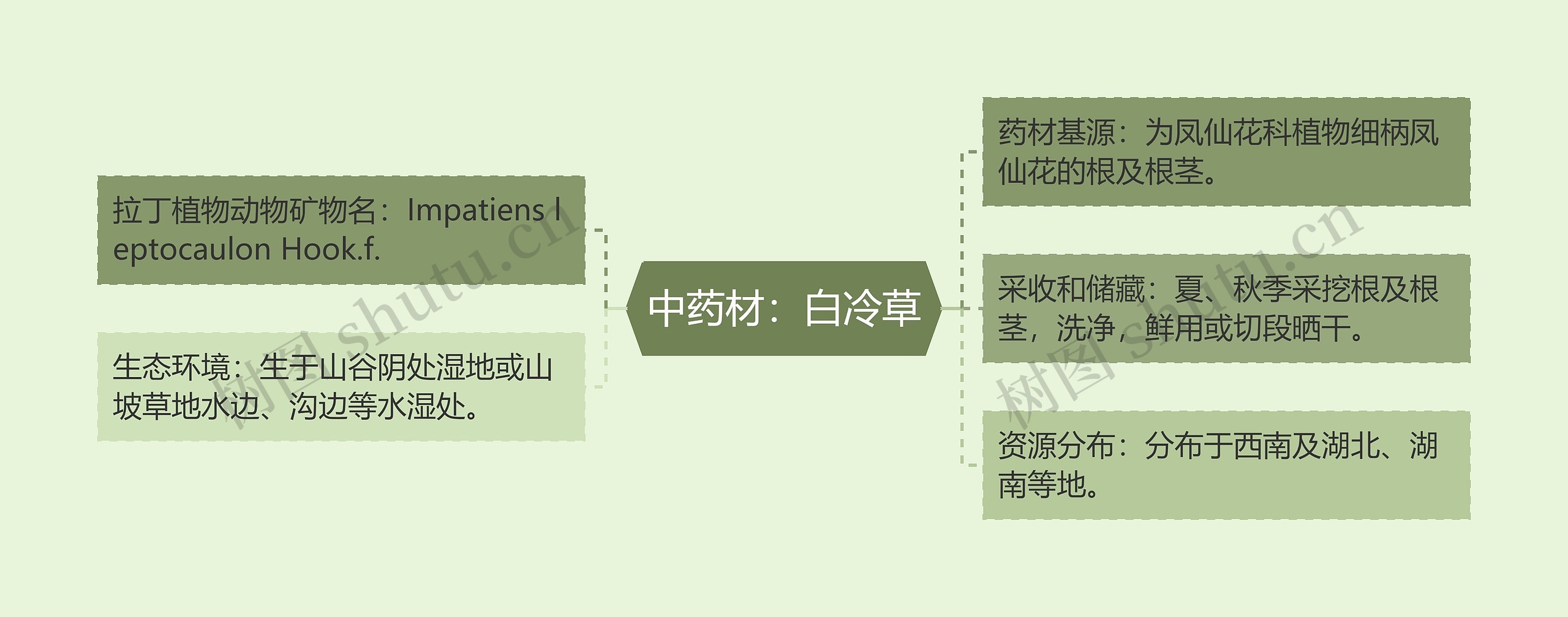 中药材：白冷草思维导图