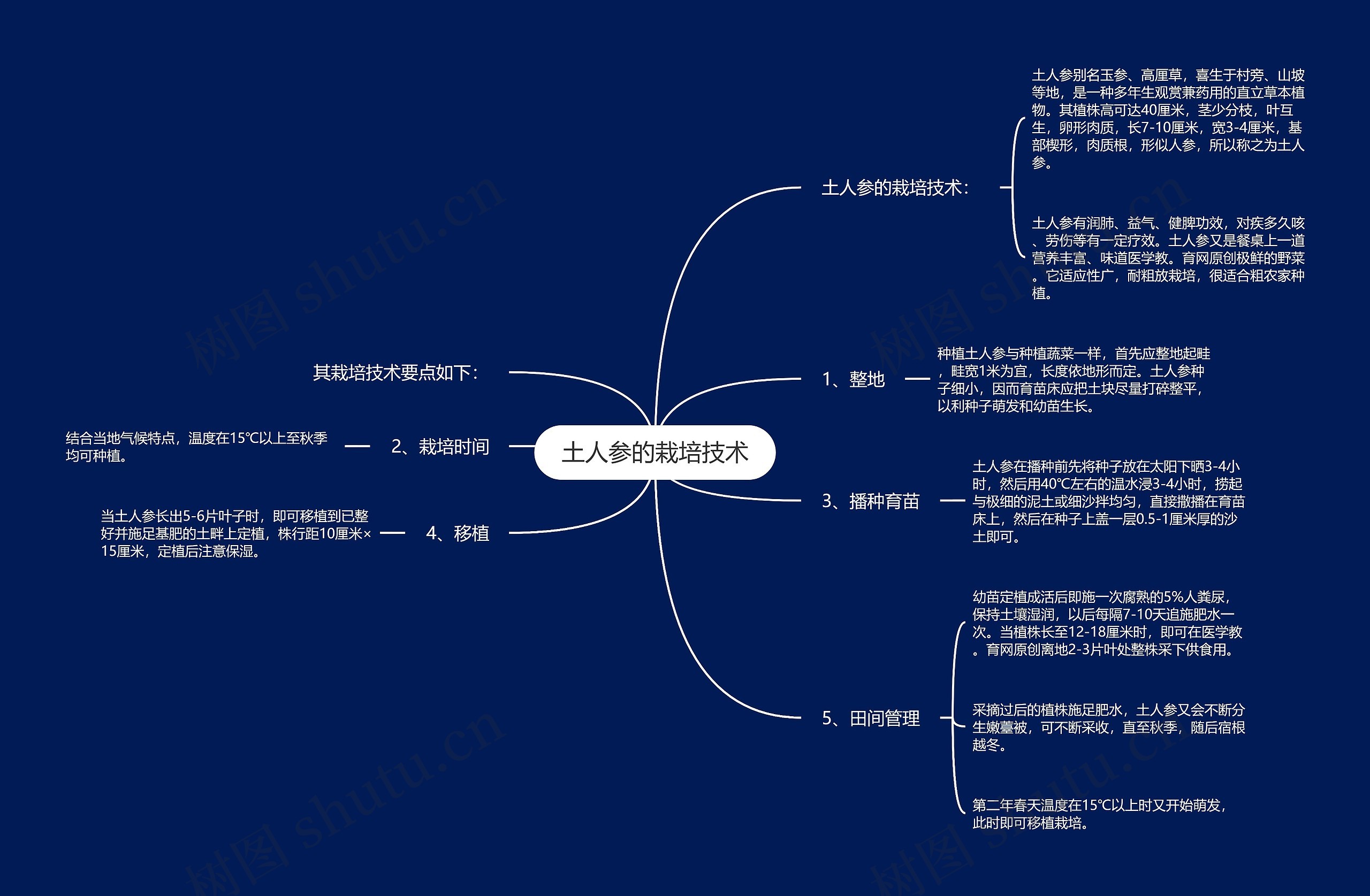 土人参的栽培技术思维导图