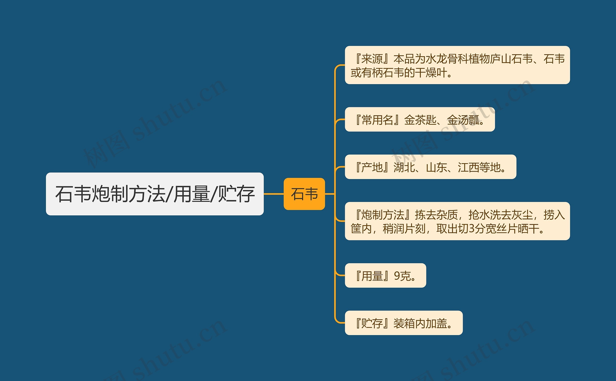 石韦炮制方法/用量/贮存思维导图