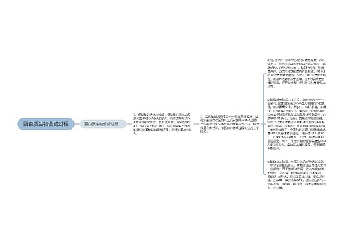 蛋白质生物合成过程