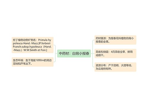 中药材：白背小报春