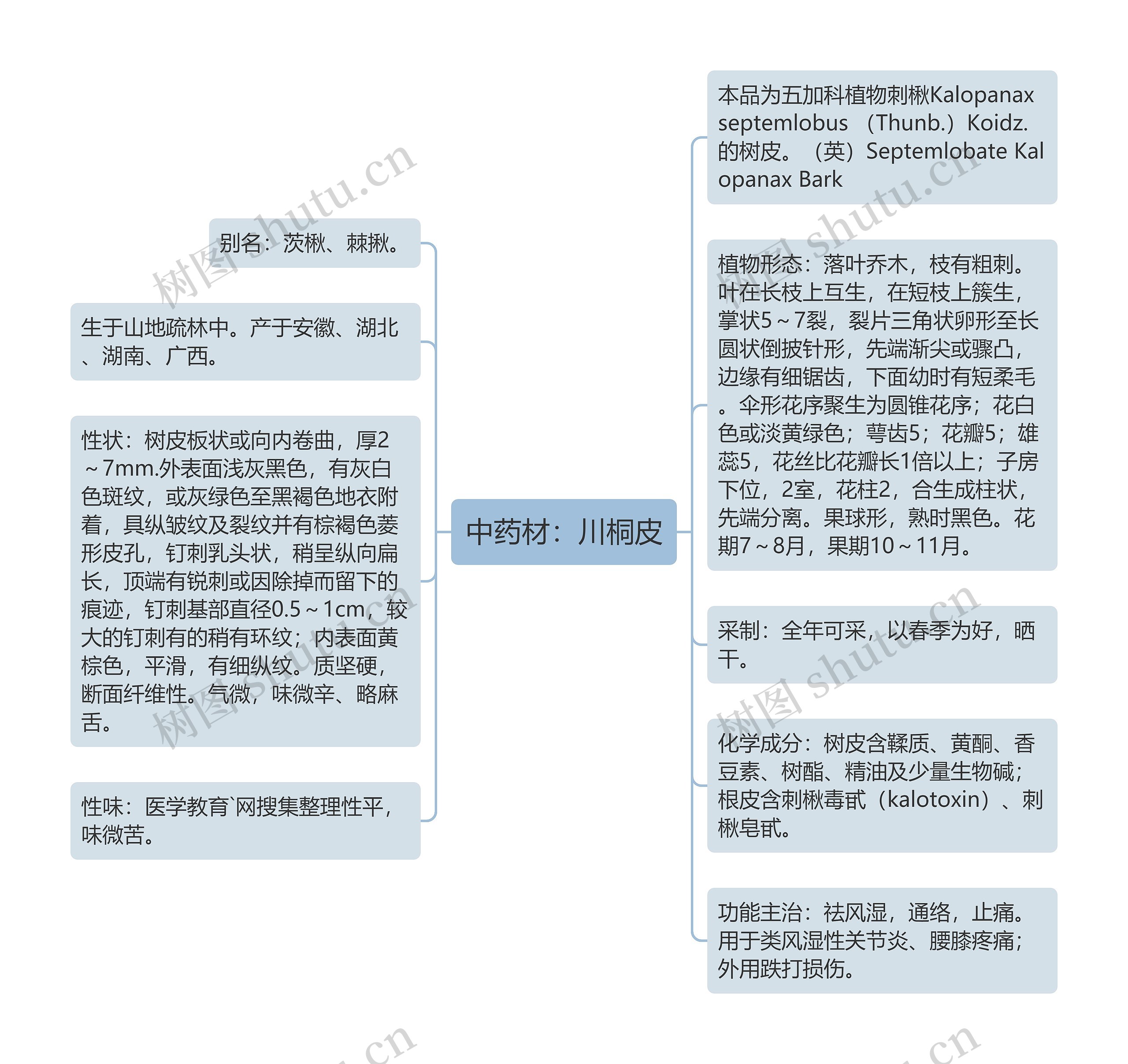 中药材：川桐皮