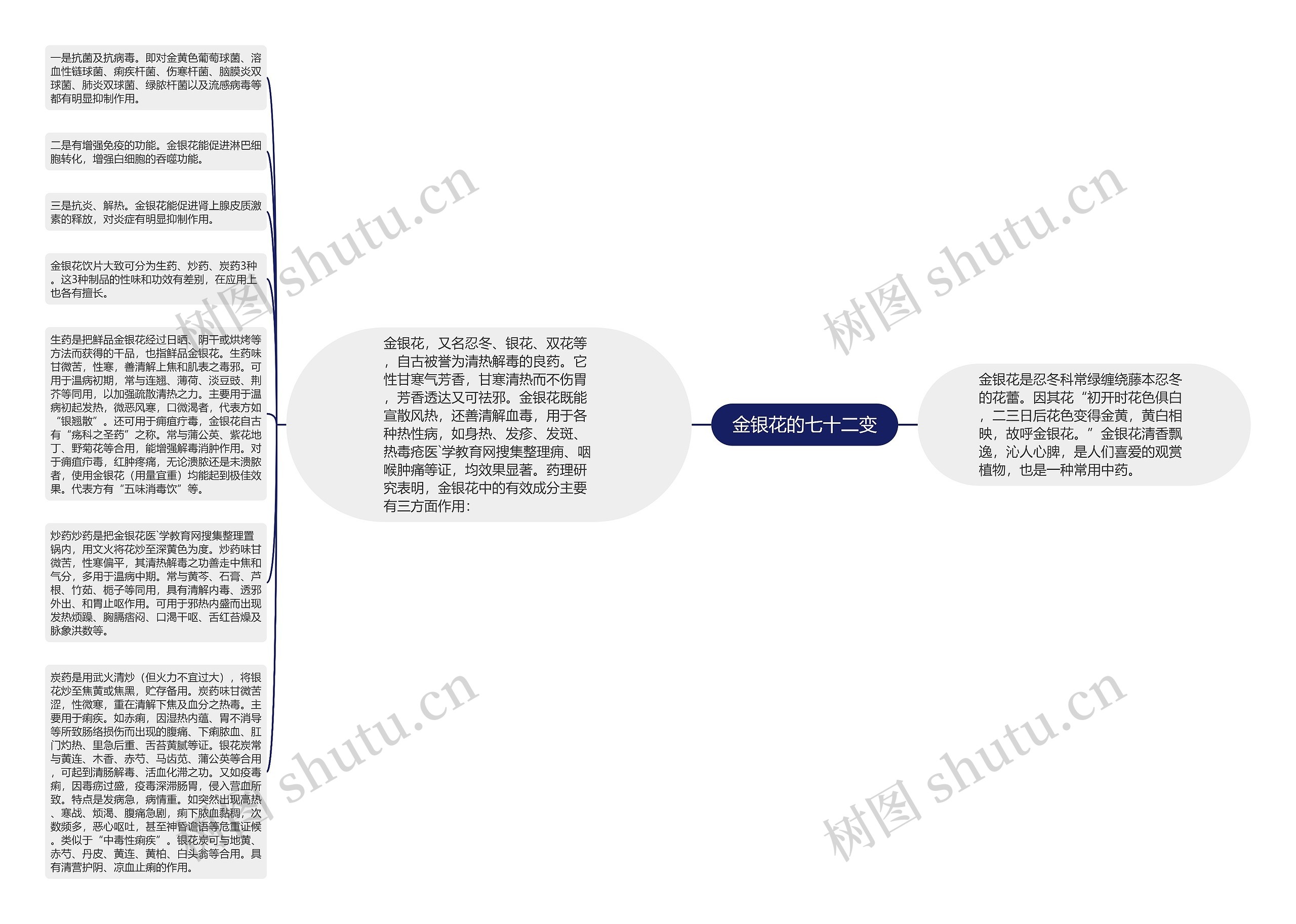 金银花的七十二变思维导图