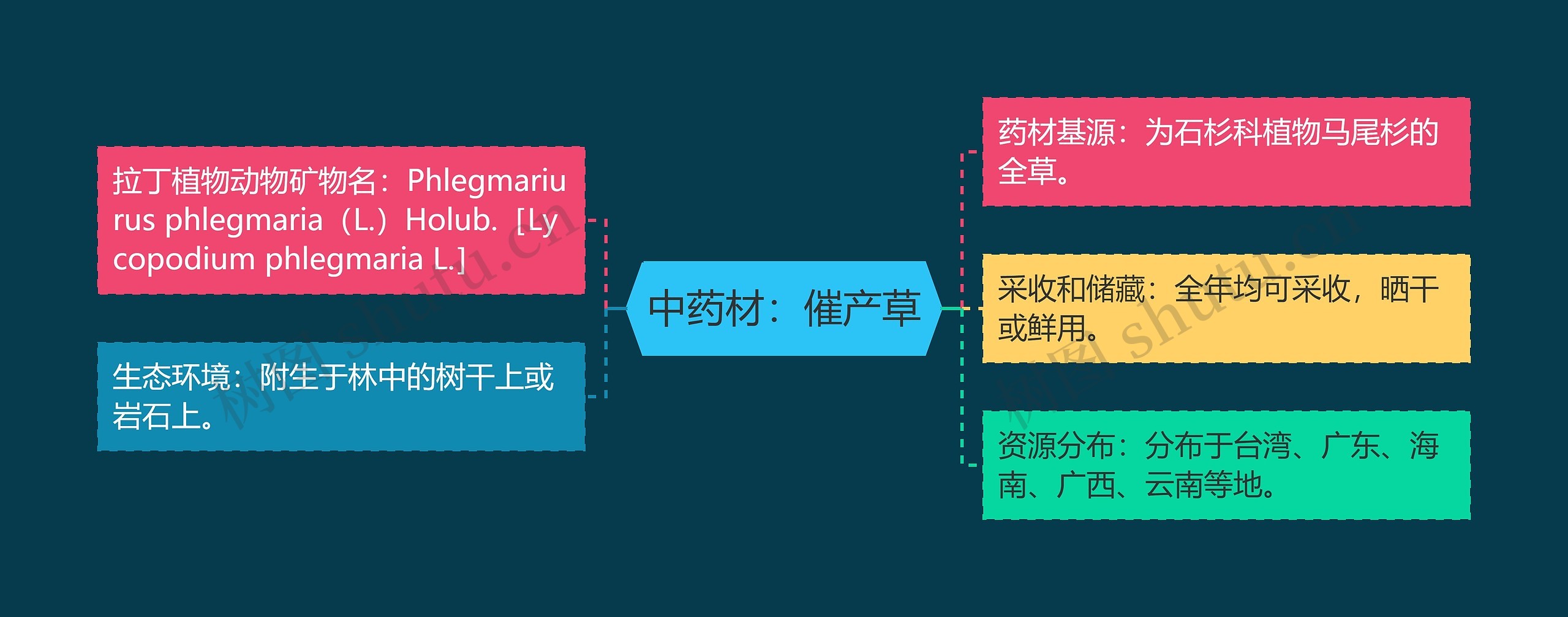 中药材：催产草思维导图