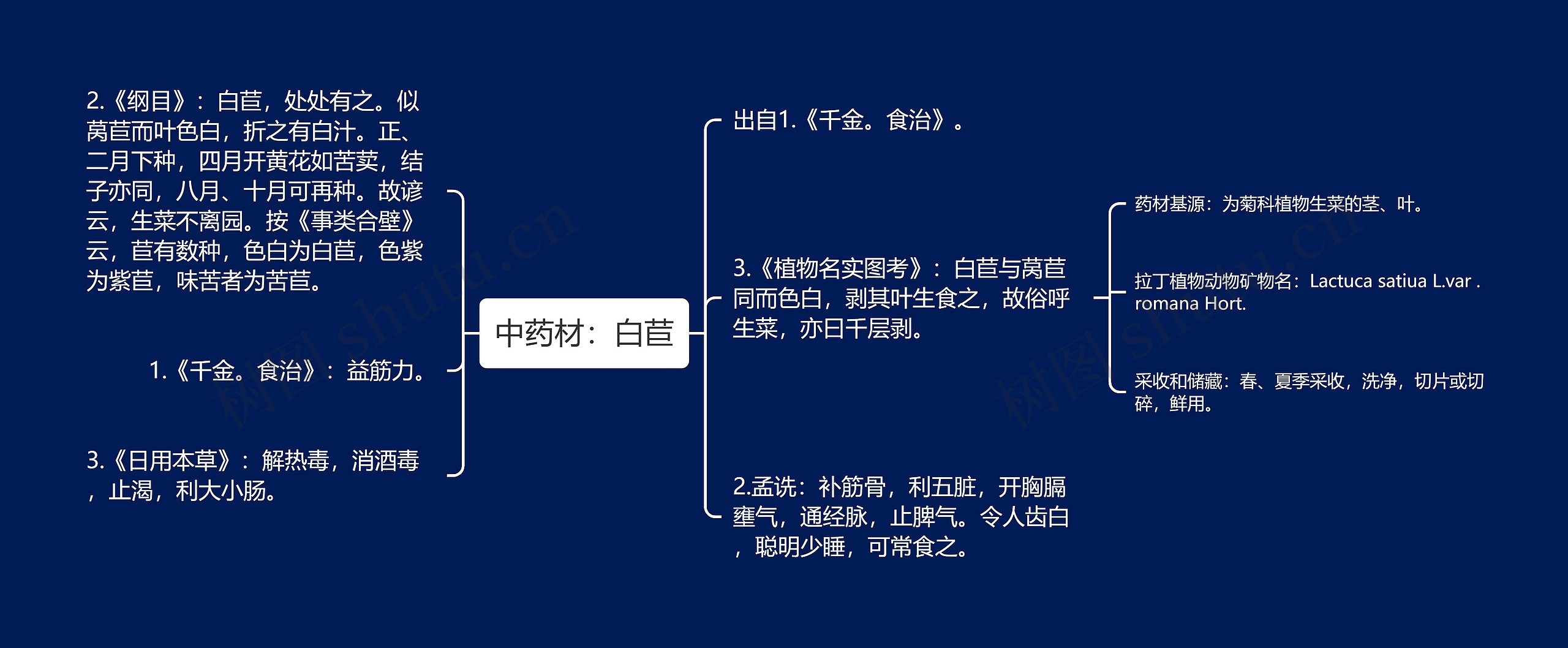 中药材：白苣思维导图