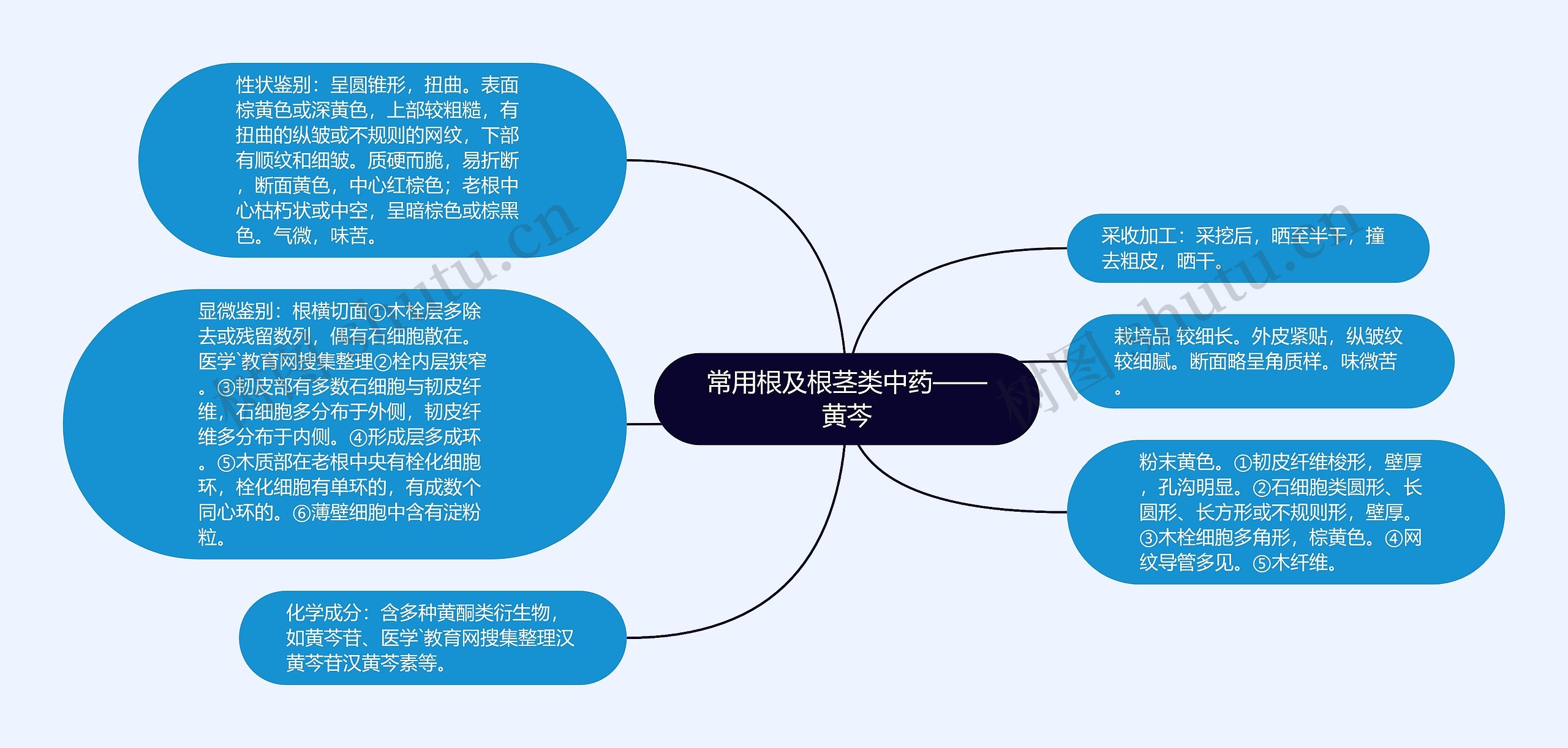 常用根及根茎类中药——黄芩思维导图