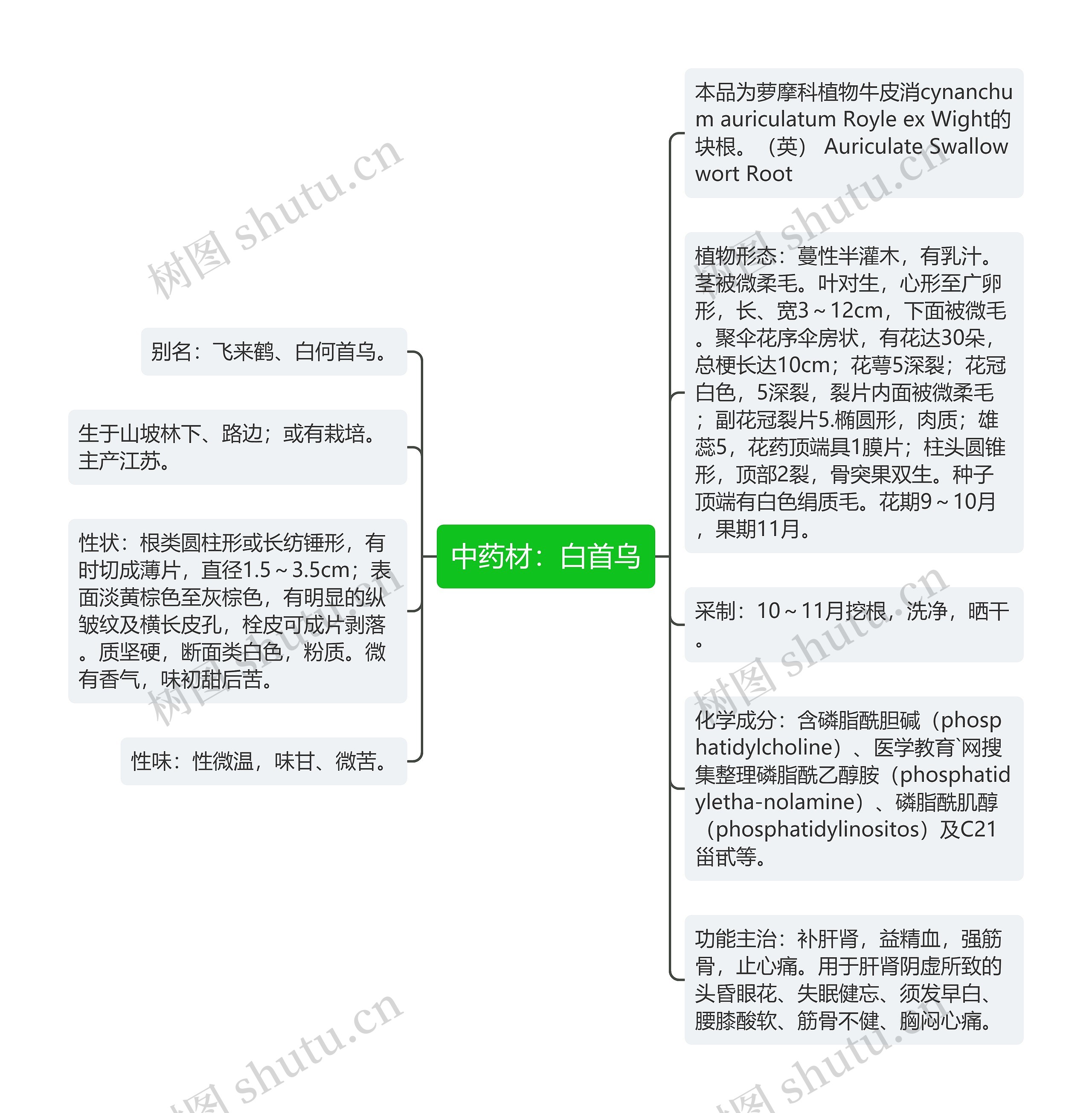 中药材：白首乌思维导图