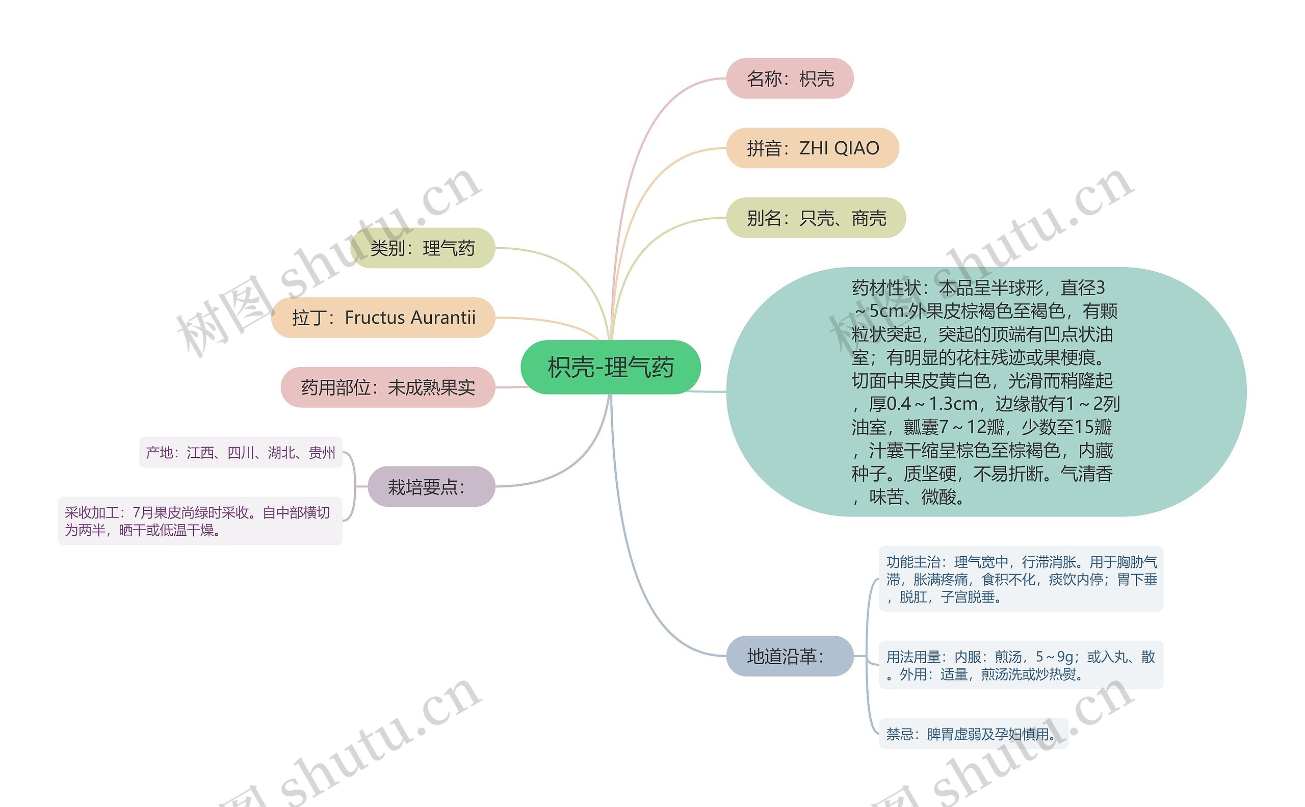 枳壳-理气药思维导图