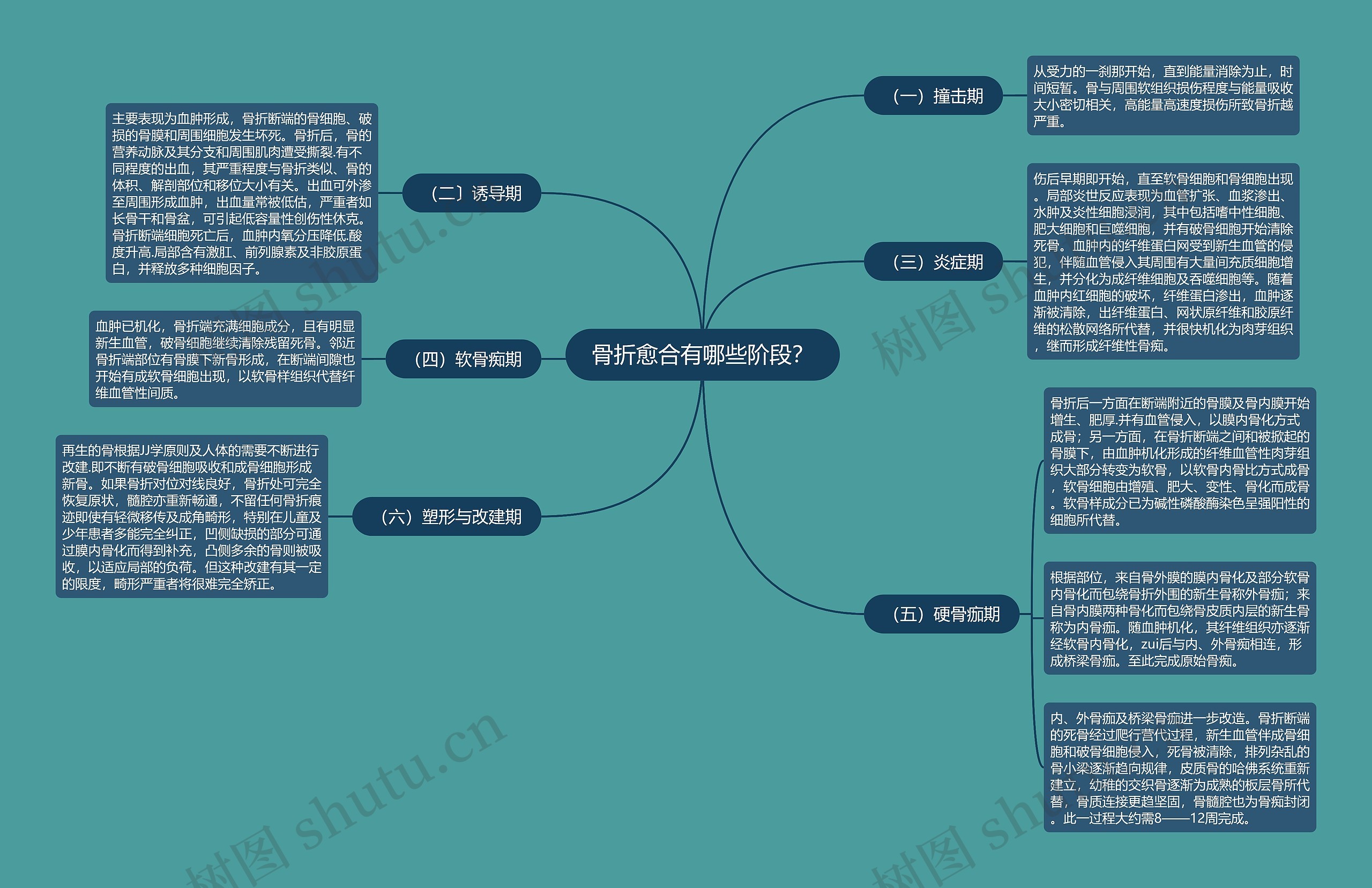 骨折愈合有哪些阶段? 骨折愈合有哪些阶段?