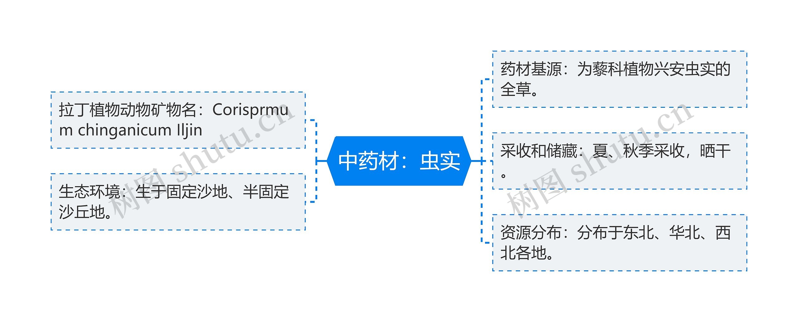 中药材：虫实