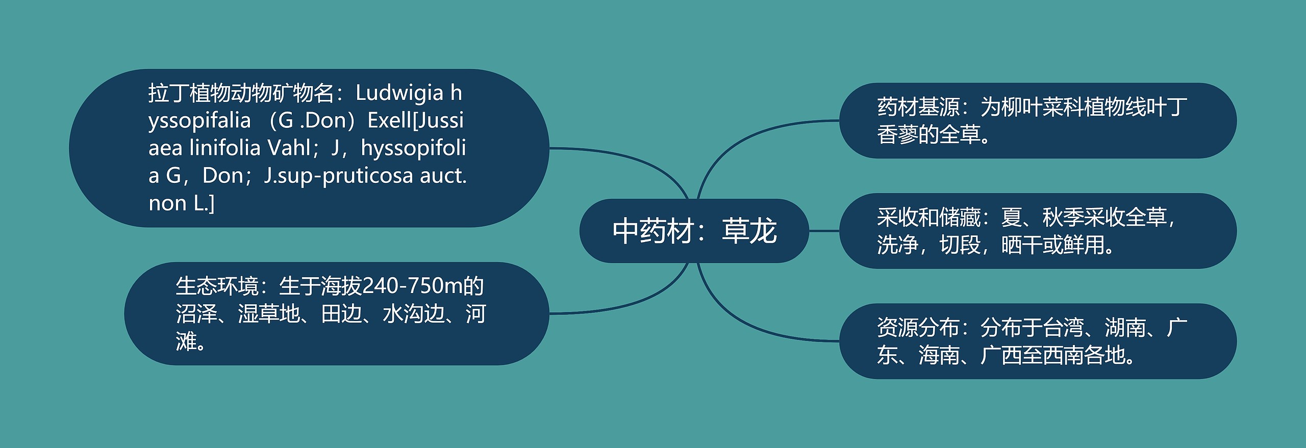 中药材：草龙思维导图